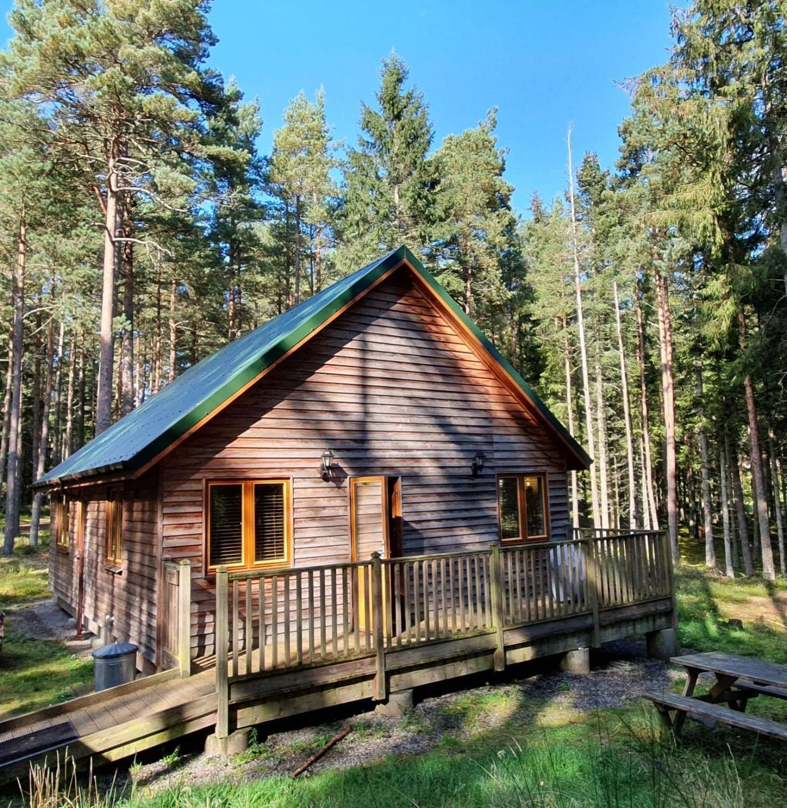 Capercaillie Cabin photo 2
