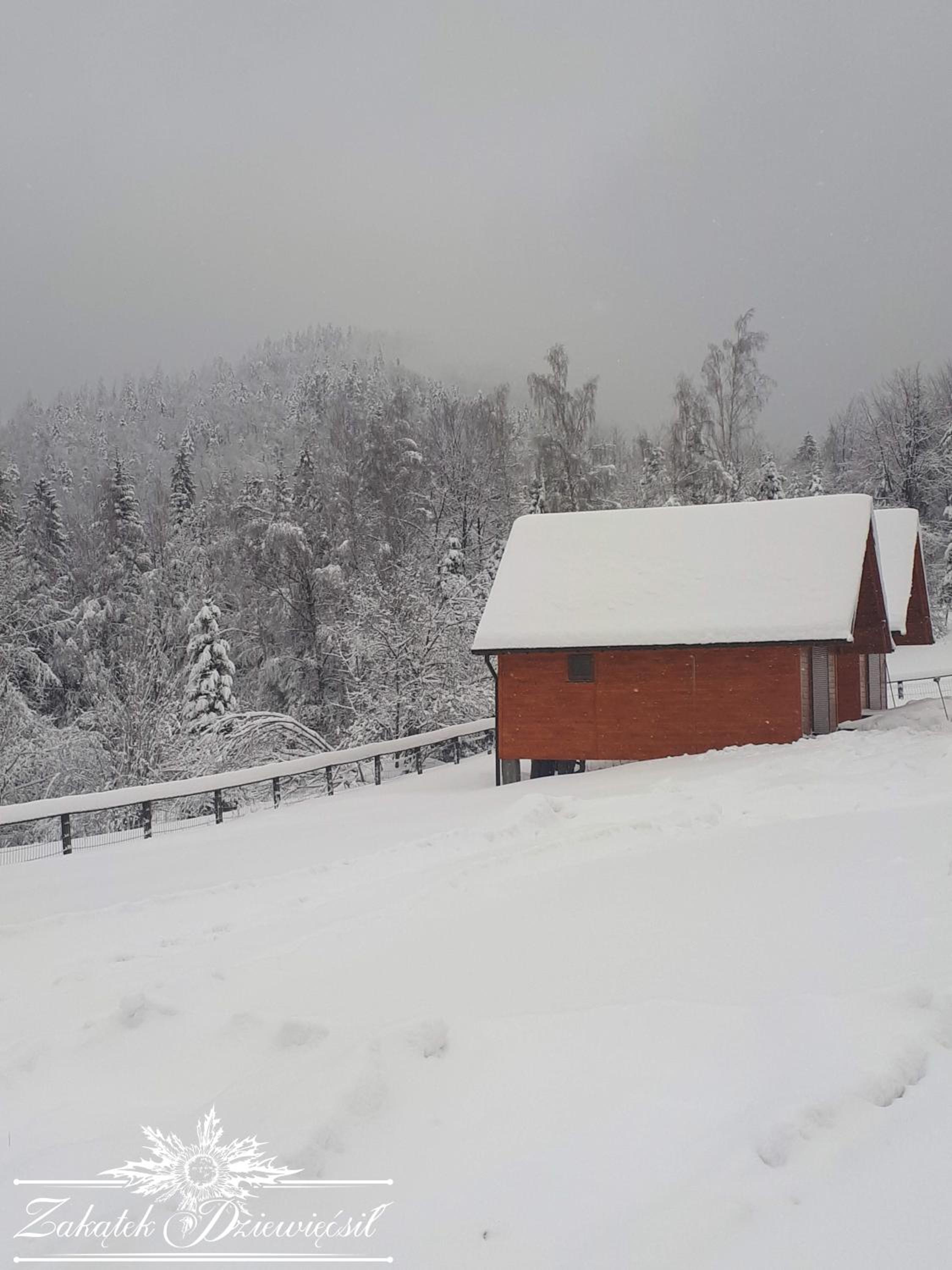 Chalet with Mountain View photo 1