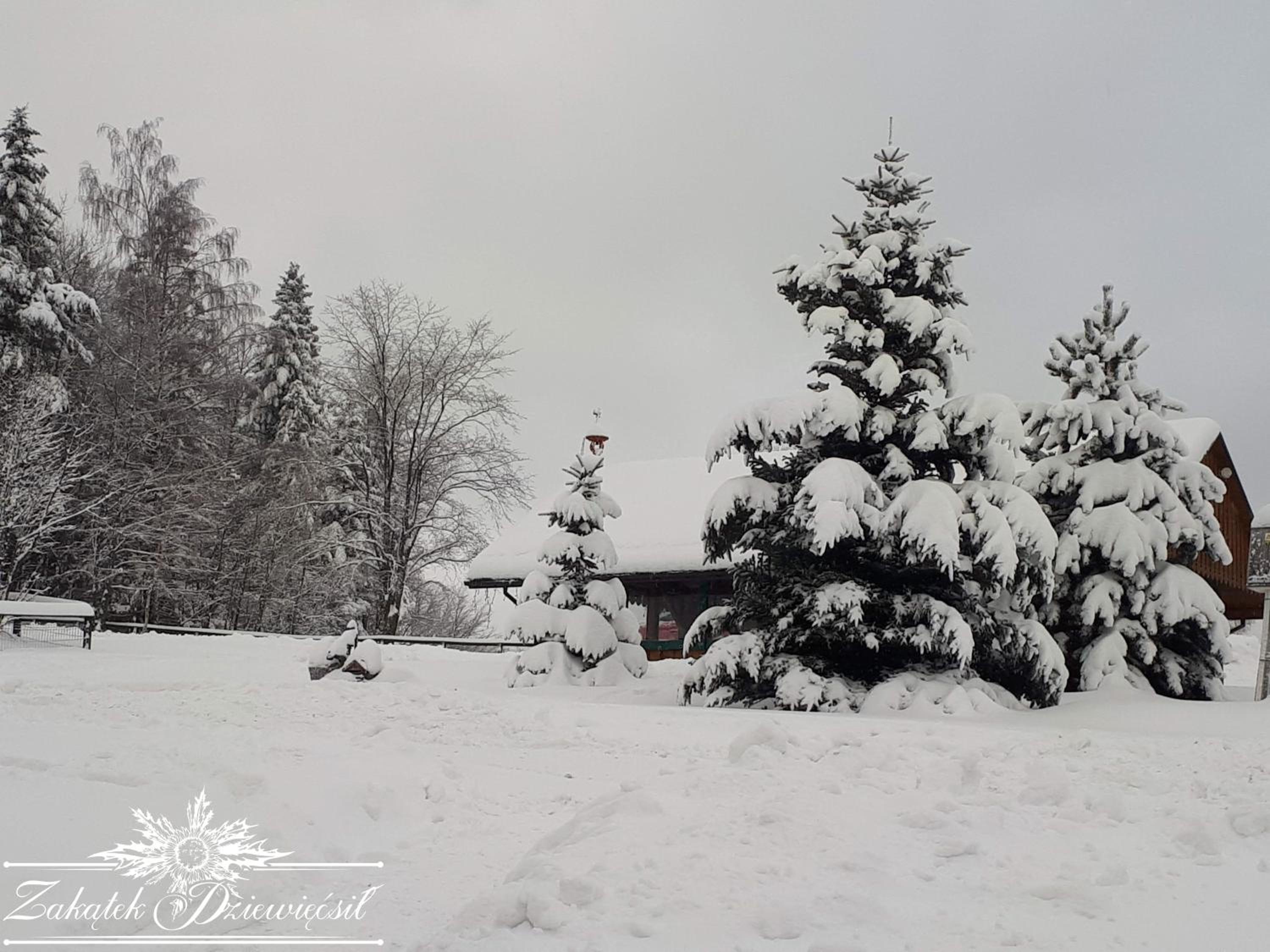 Chalet with Mountain View photo 2