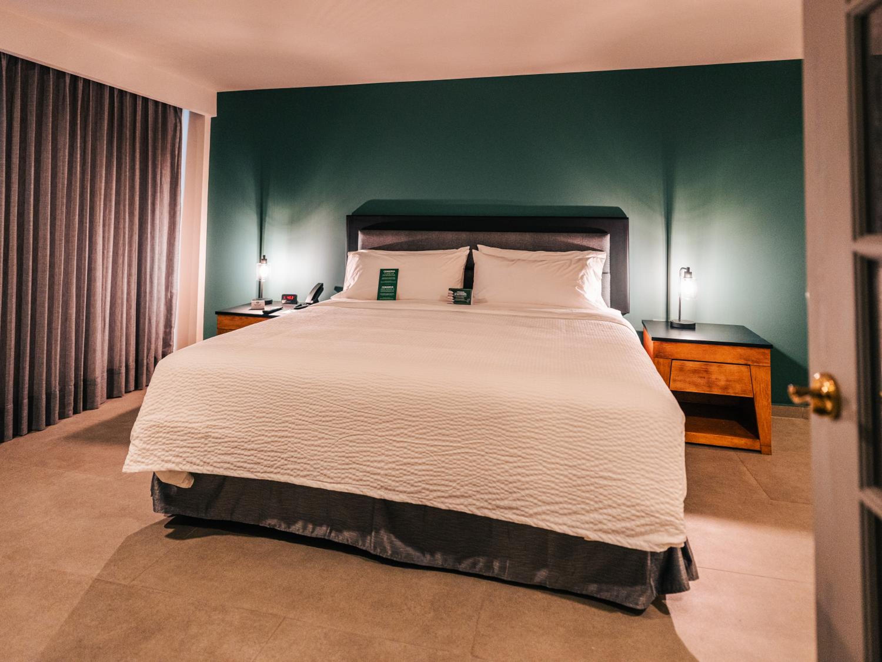 King Suite with One King Bed and City View