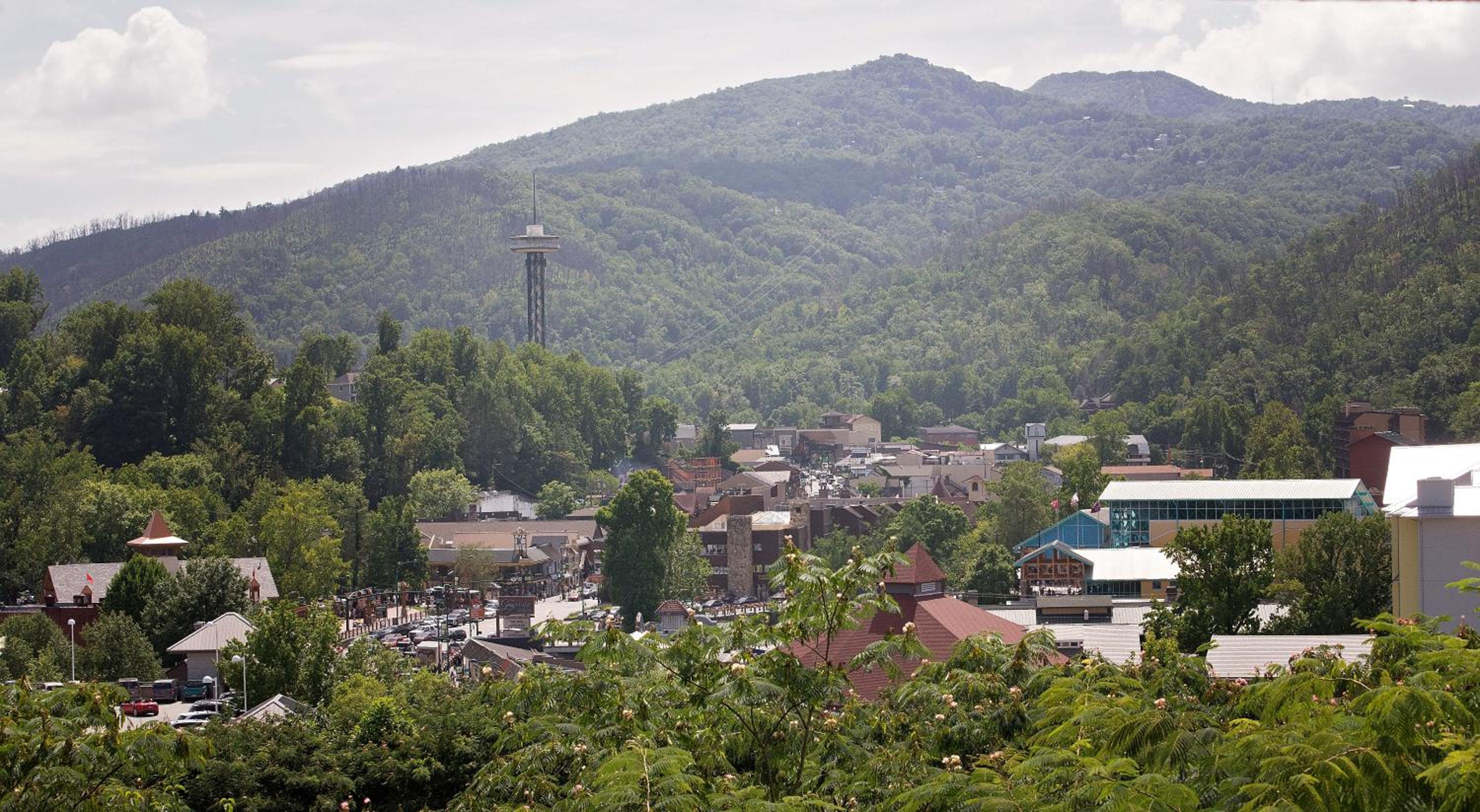 Gatlinburg Chateau 201 - Photo 16