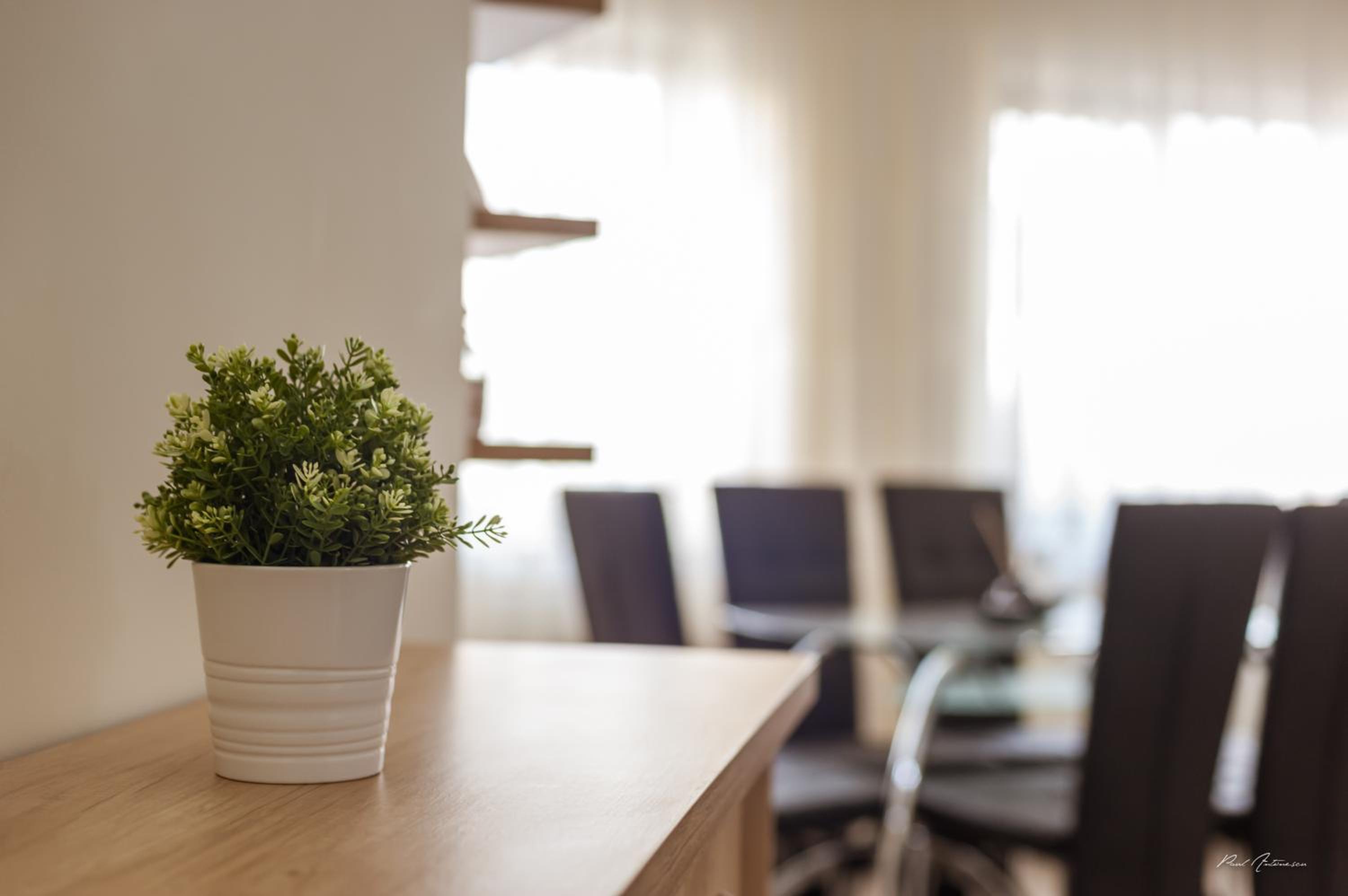One-Bedroom Apartment - Photo 7
