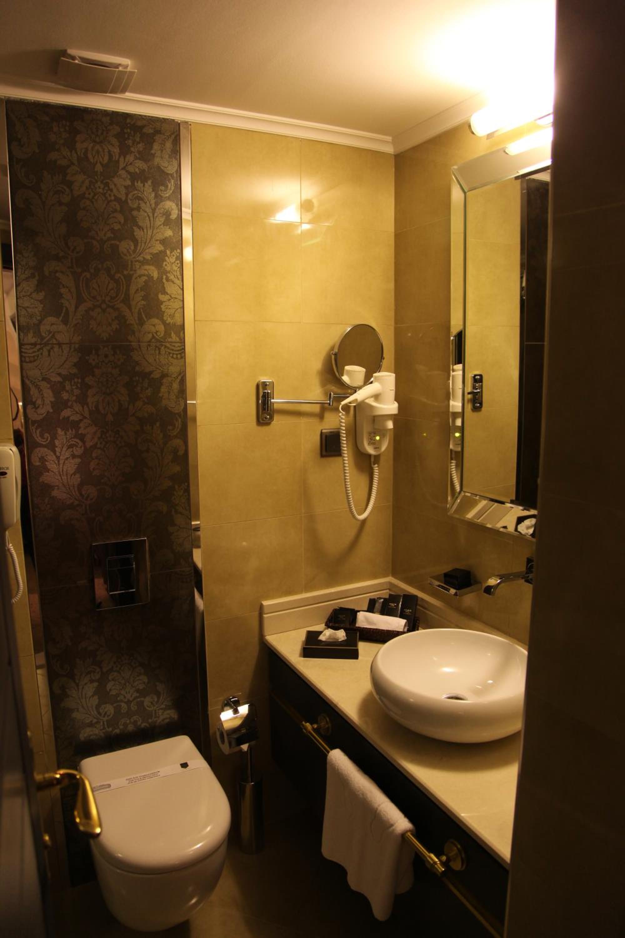 Deluxe Double or Twin Room photo 2