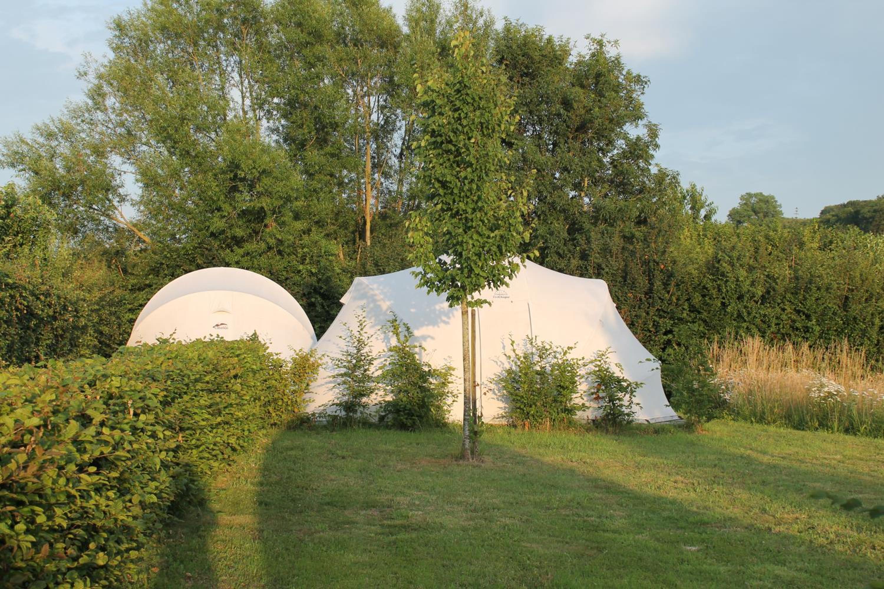 Tent photo 2