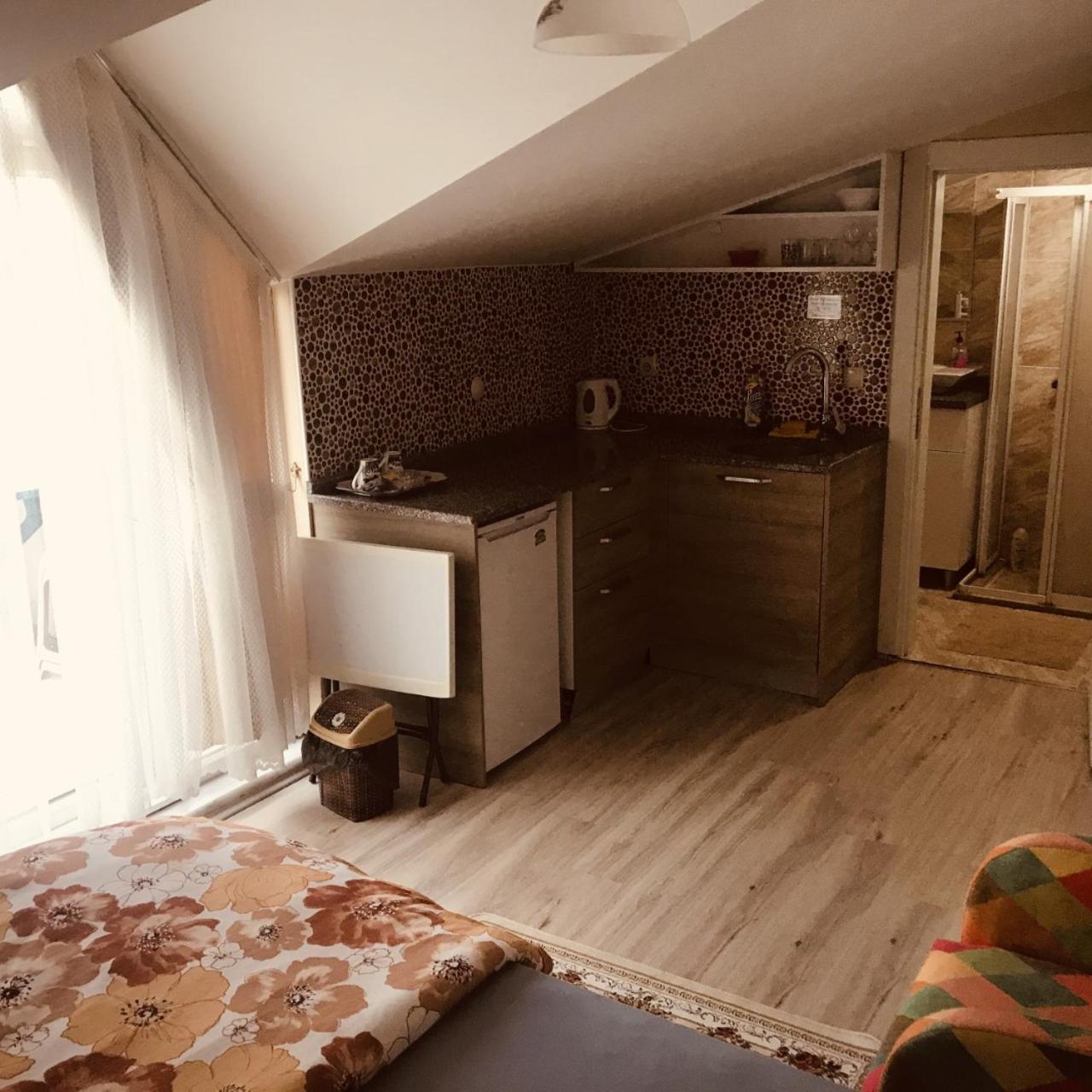 Luxury Apartment With Kitchenette(2 Adults) photo 2