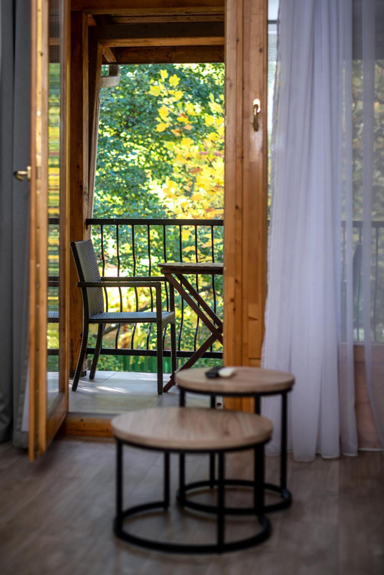 Apartment with Terrace photo 1