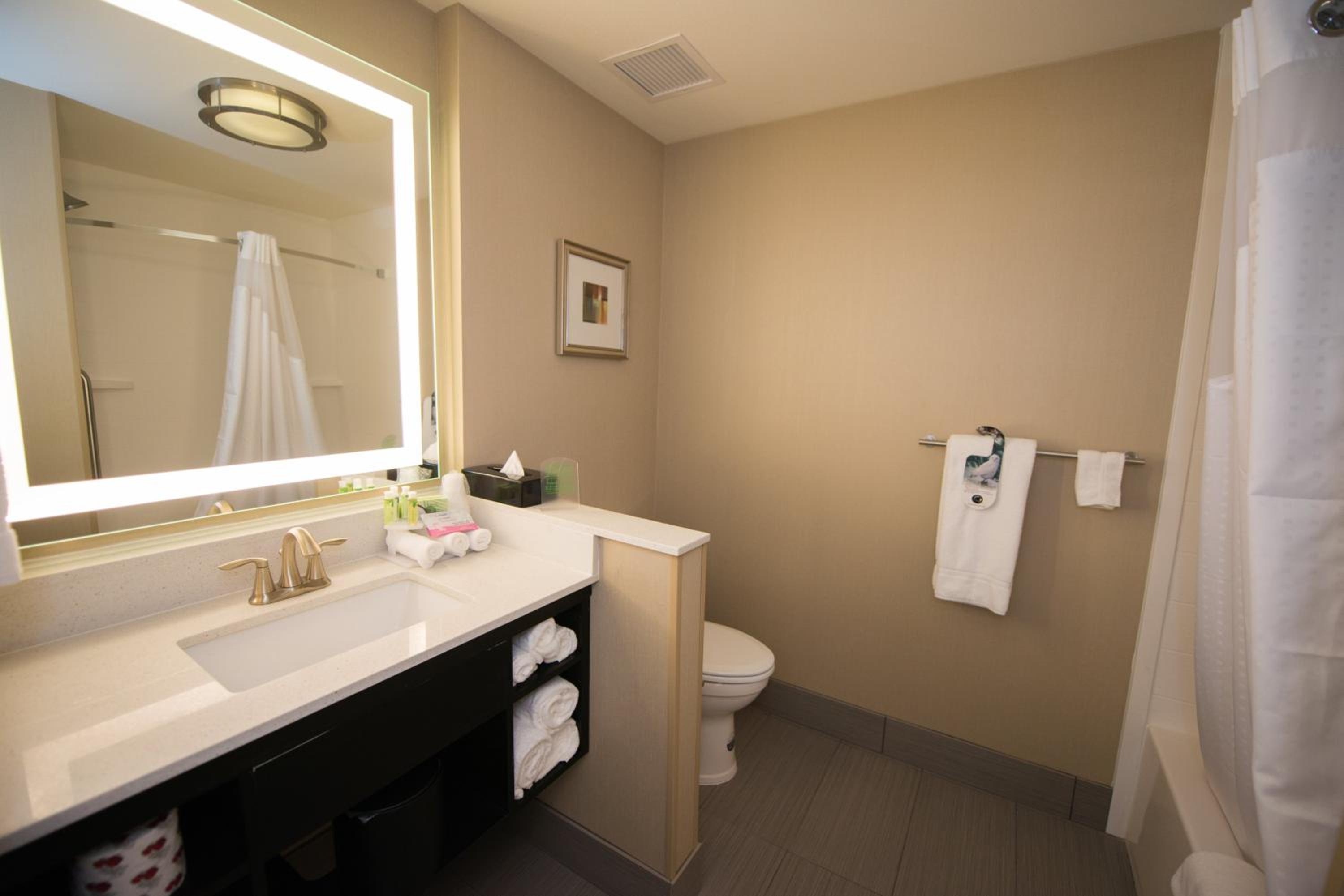 Standard King Room with Mobility Accessible Roll-In Shower