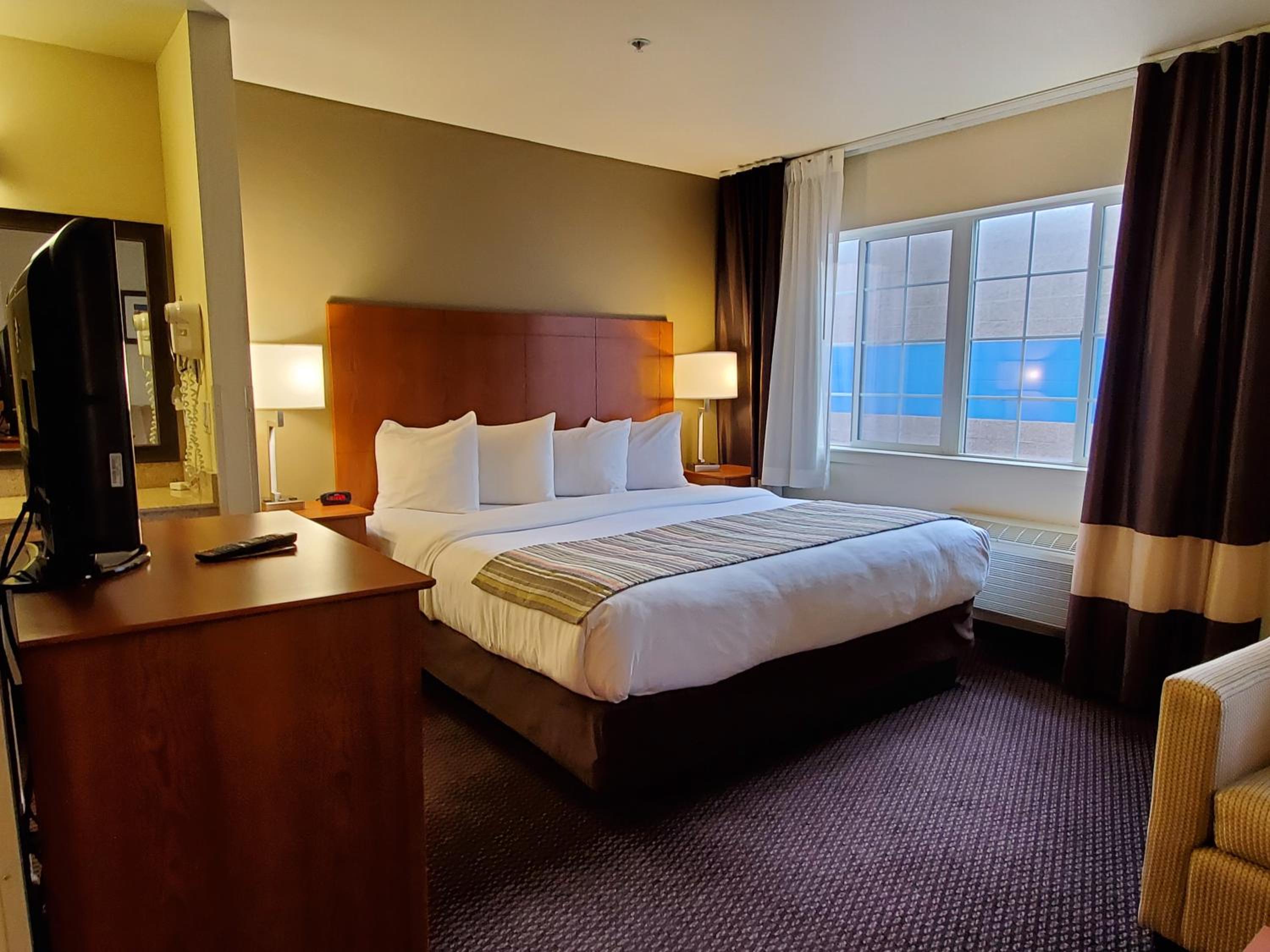 One-Bedroom King Suite with Sofa Bed - Non-Smoking - Photo 3