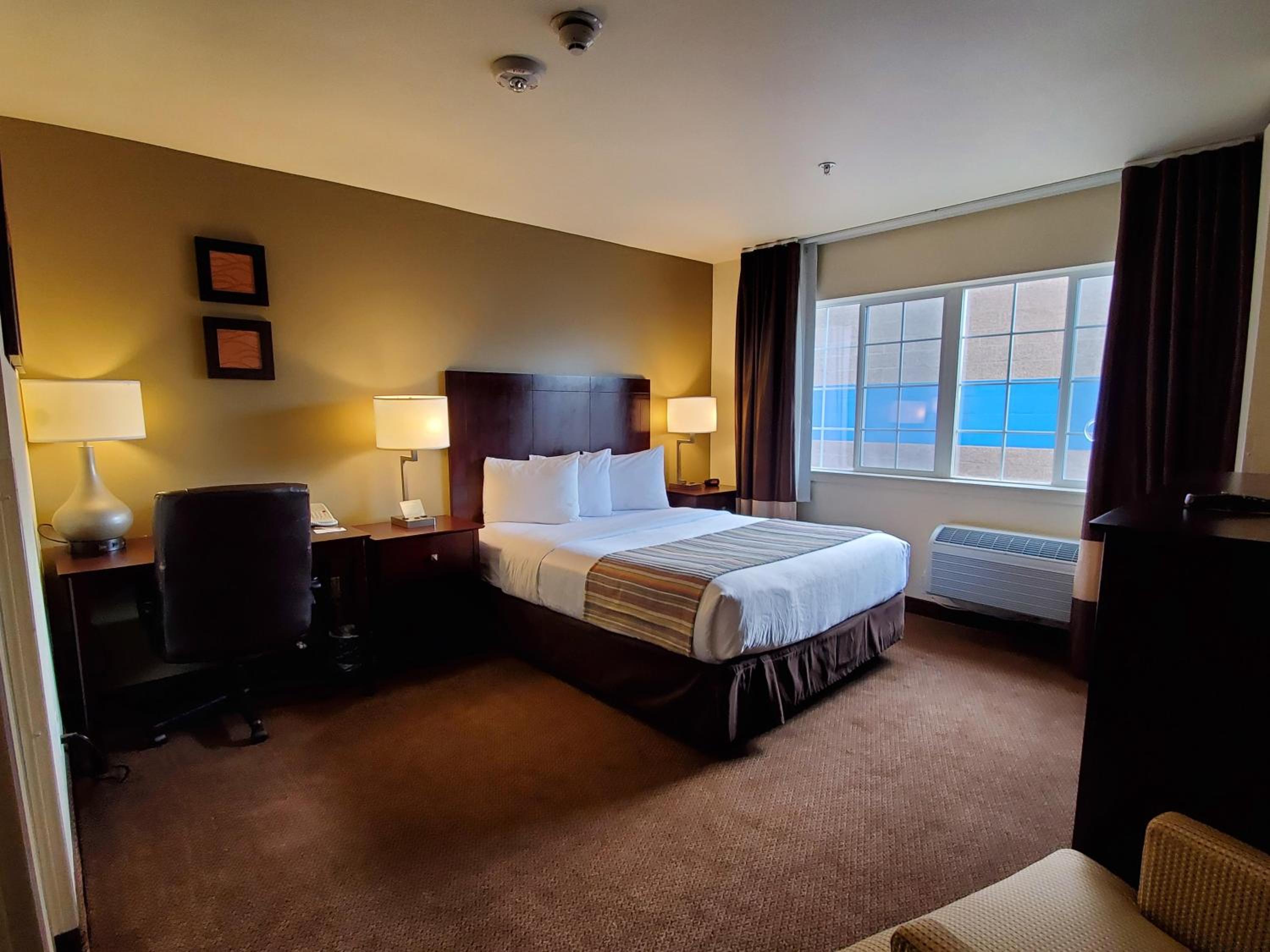 Queen Room - Disability Access - Photo 4