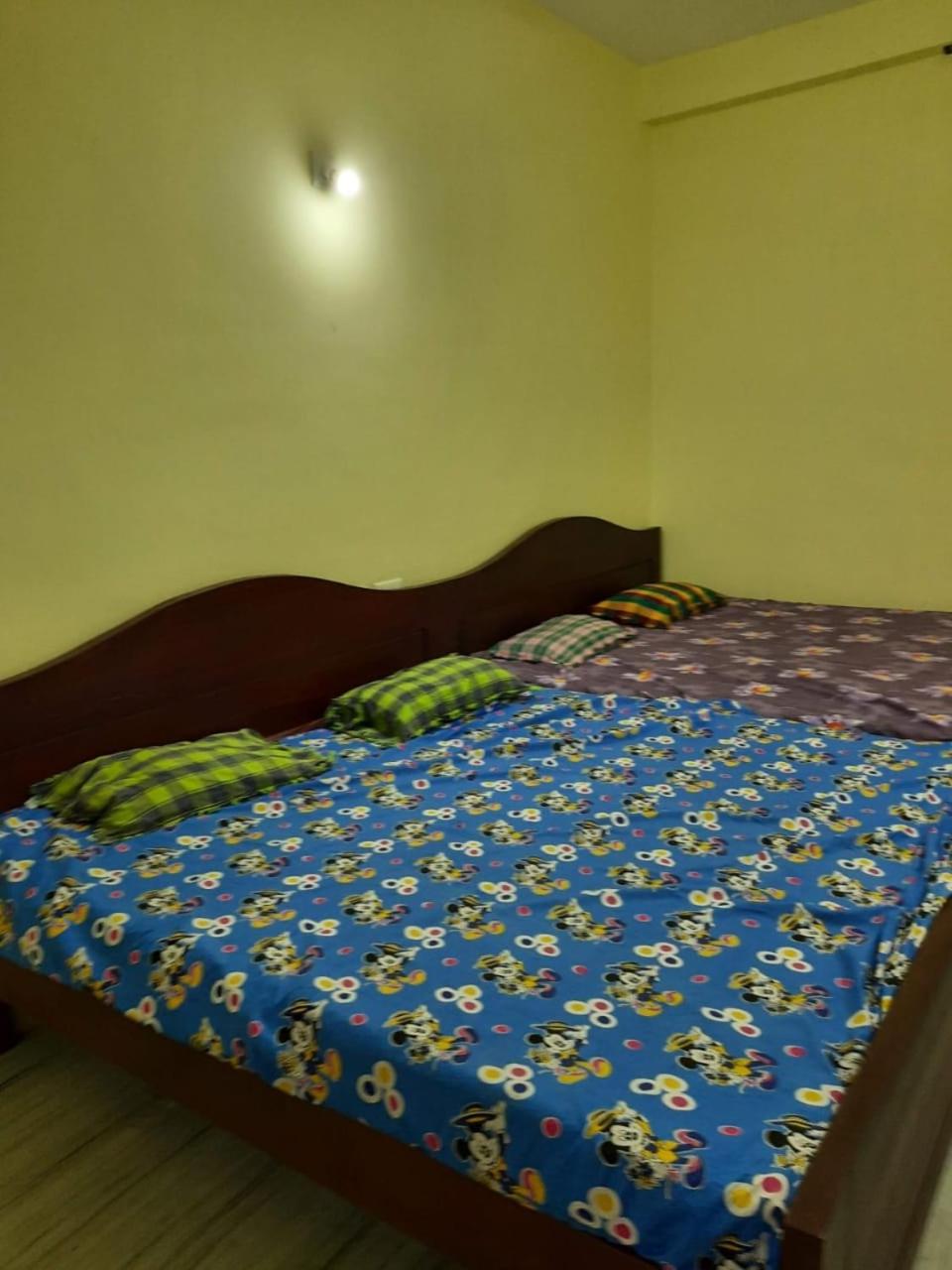 Deluxe Double or Twin Room photo 3
