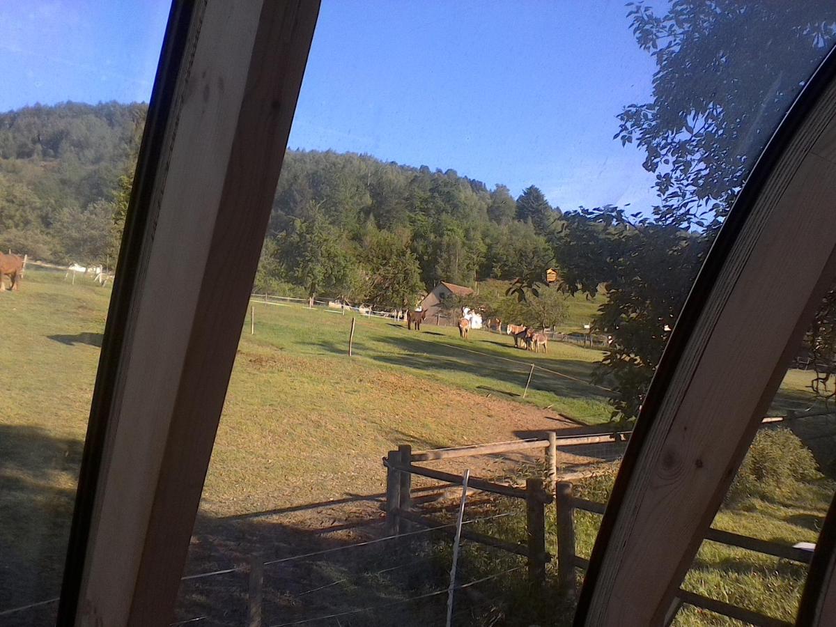 Bungalow photo 3