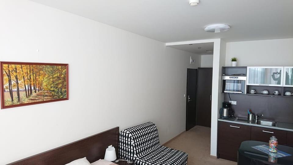 Deluxe Apartment - Photo 15