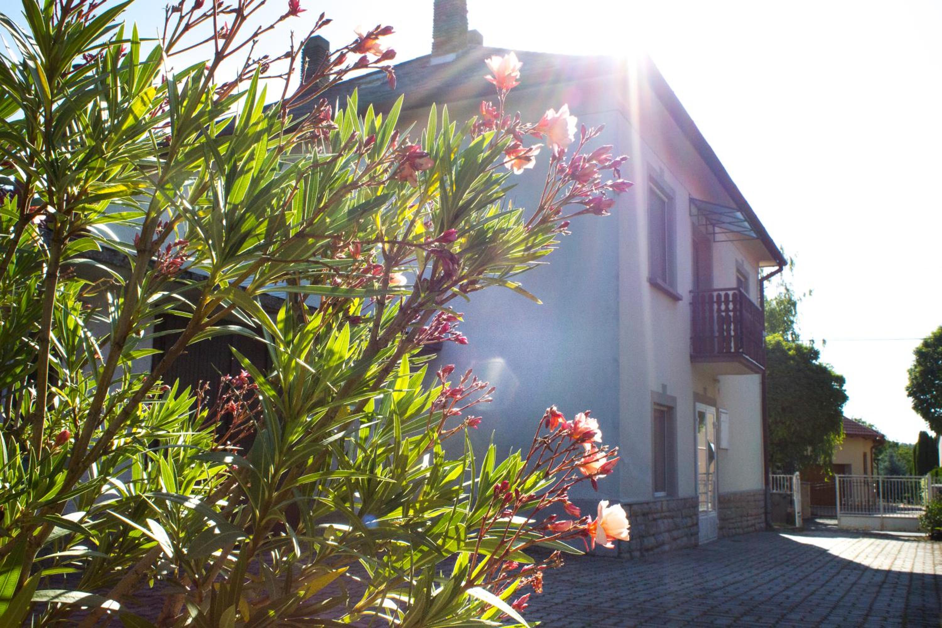 Vacation Home - Photo 7