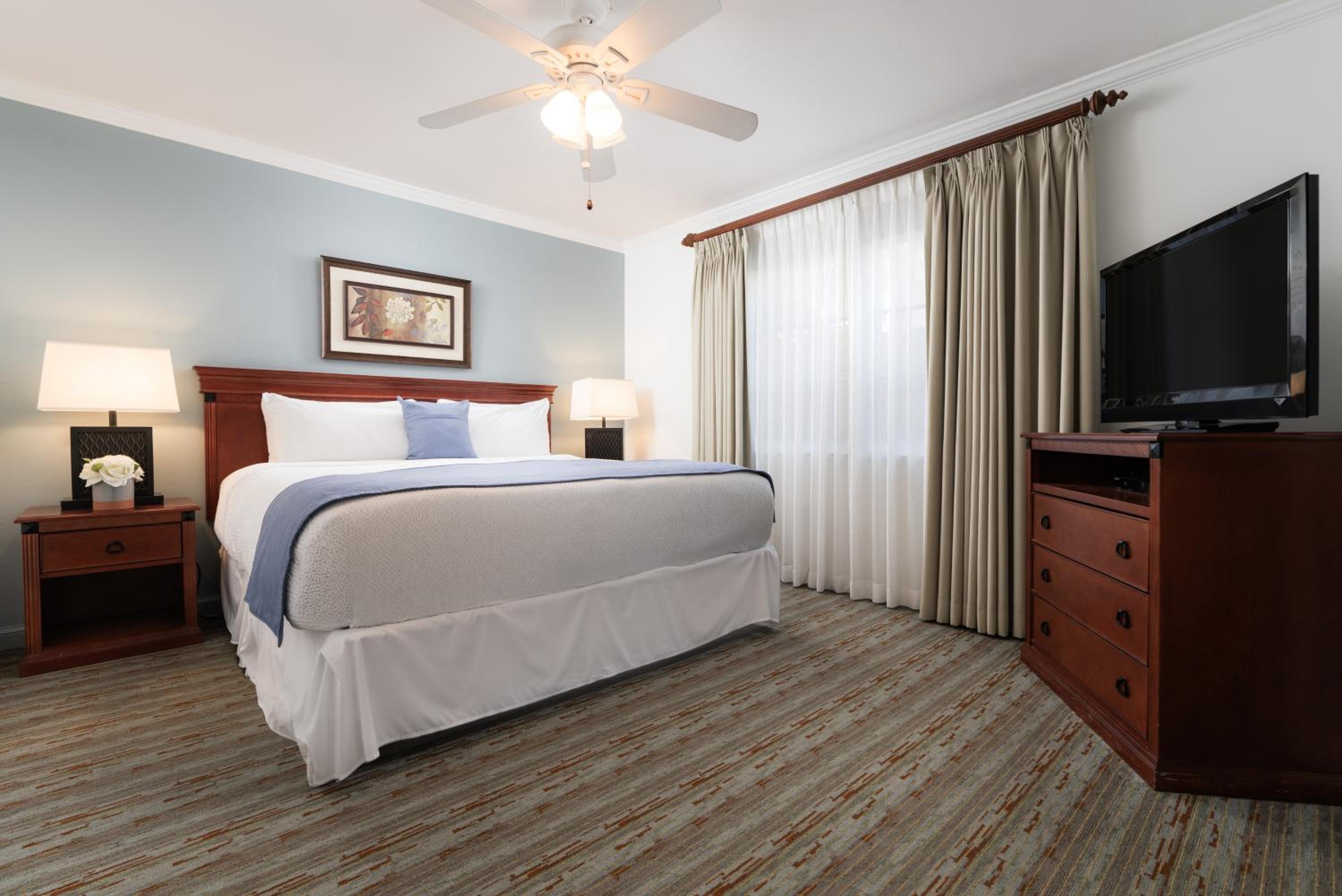 Dolphin Suite