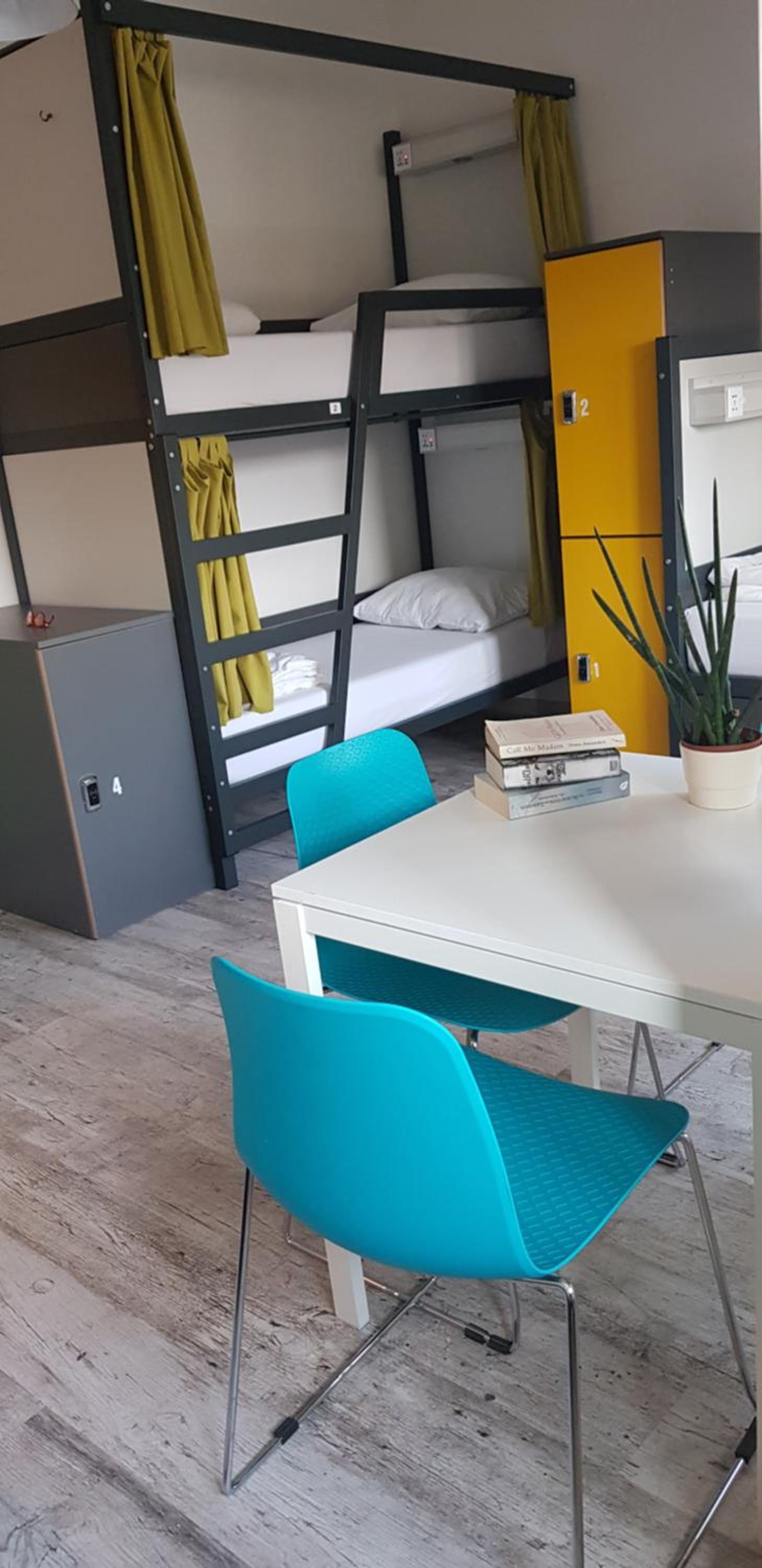 Single Bed in 6-Bed Dormitory Room
