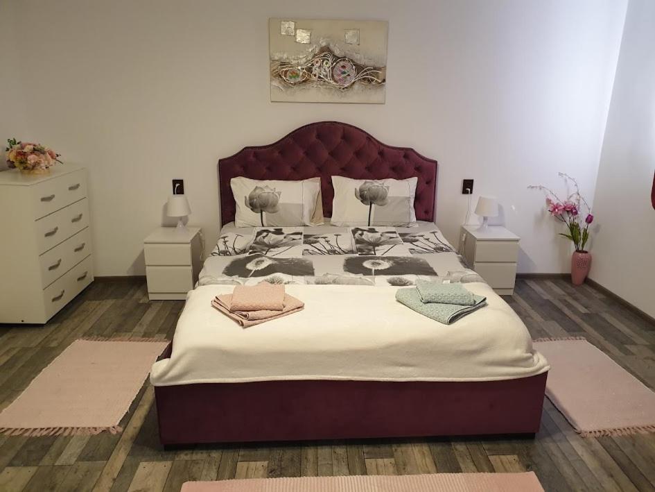 One-Bedroom Apartment - Photo 1