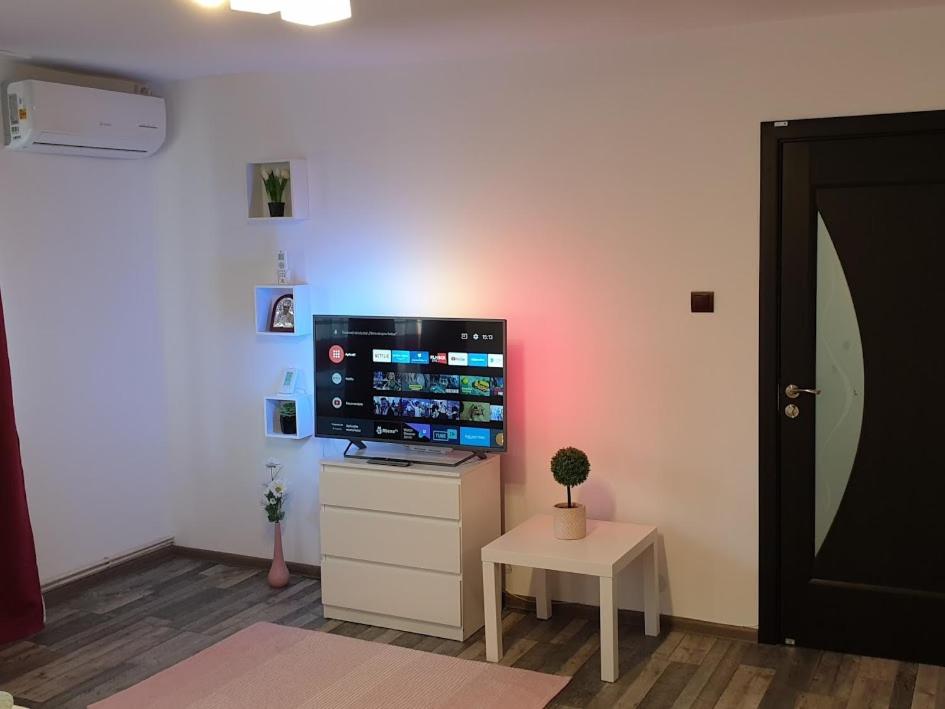One-Bedroom Apartment - Photo 4