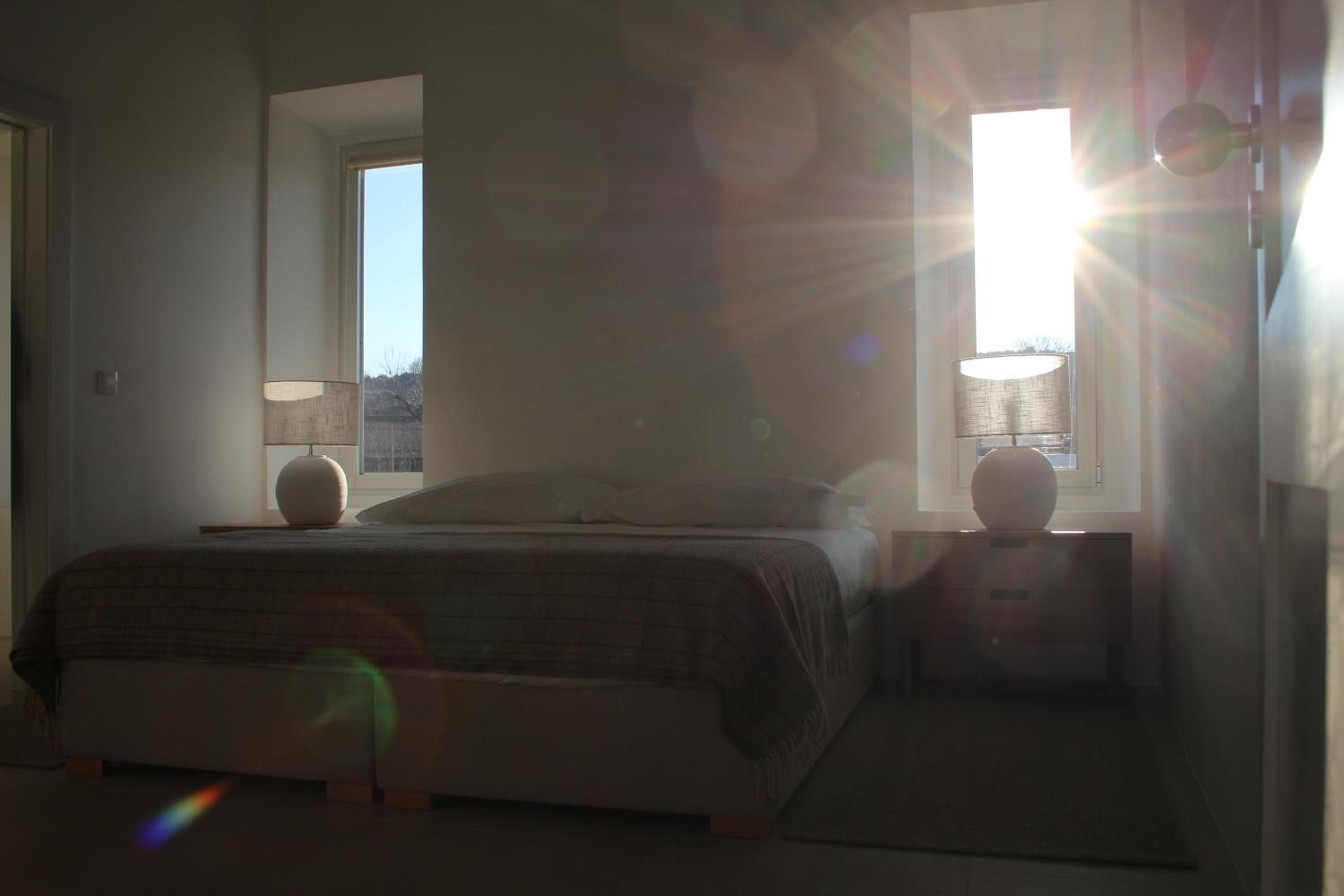 One-Bedroom House photo 3