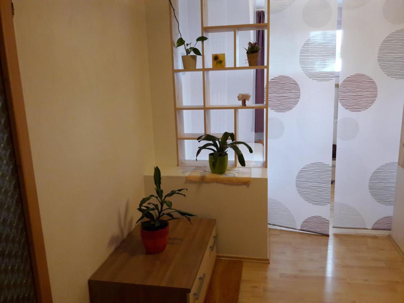 One-Bedroom Apartment - Photo 2