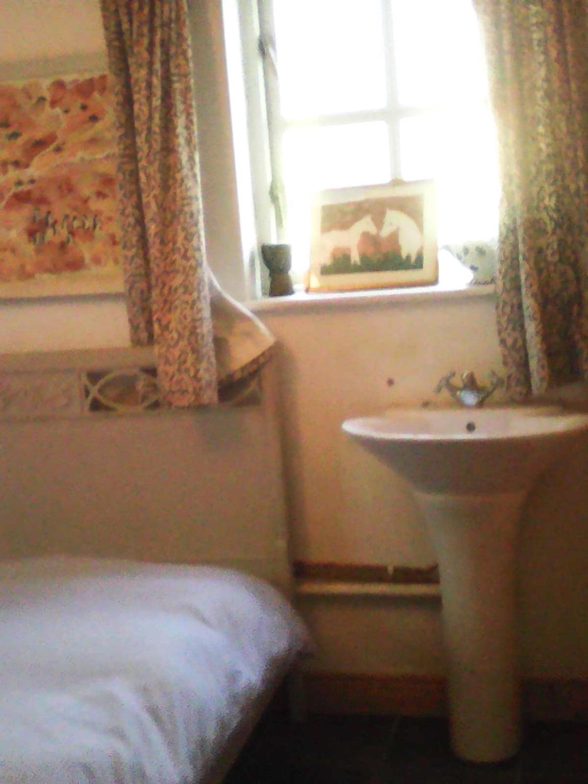 Deluxe Double Room photo 3