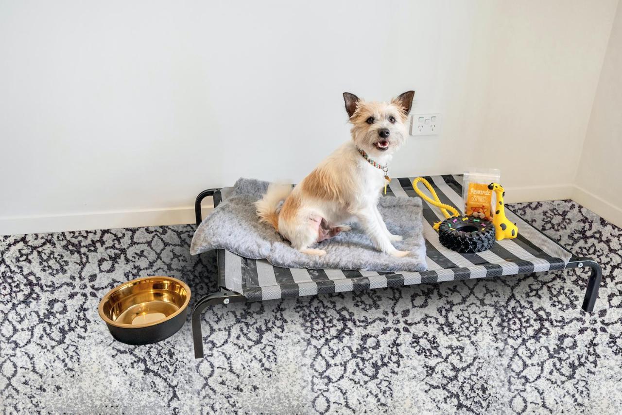 Studio - Pet Friendly