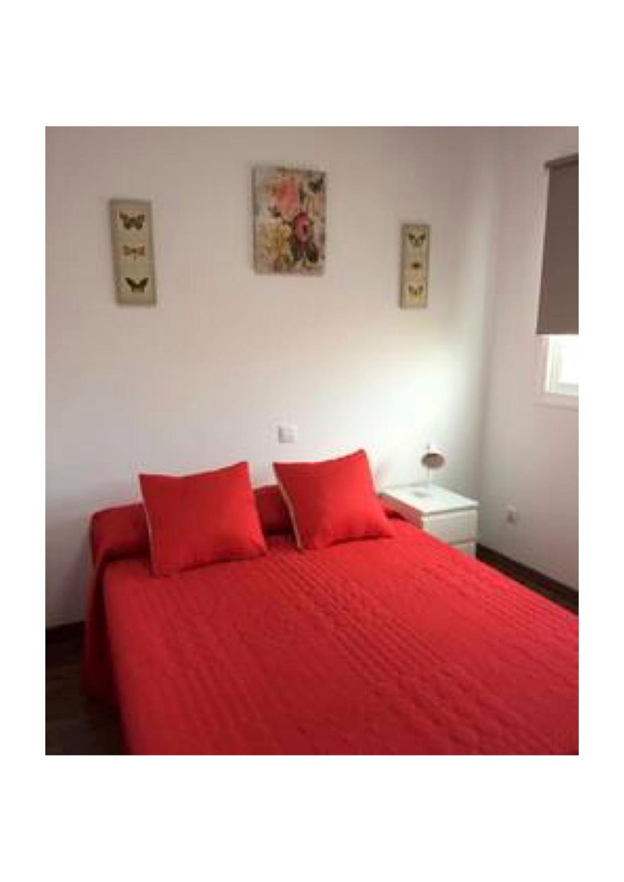 Apartamento - Planta Baja
