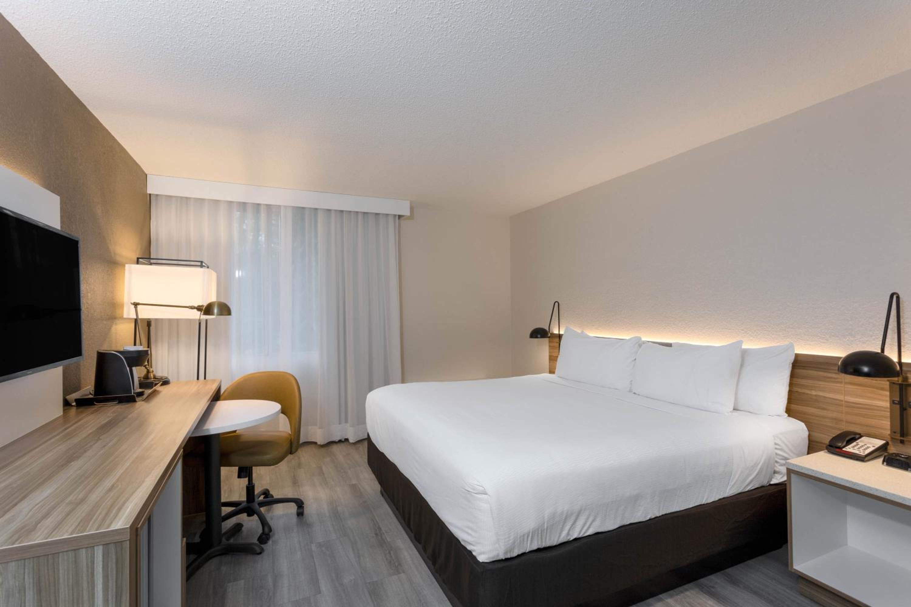 King Room - Non-Smoking - Photo 1