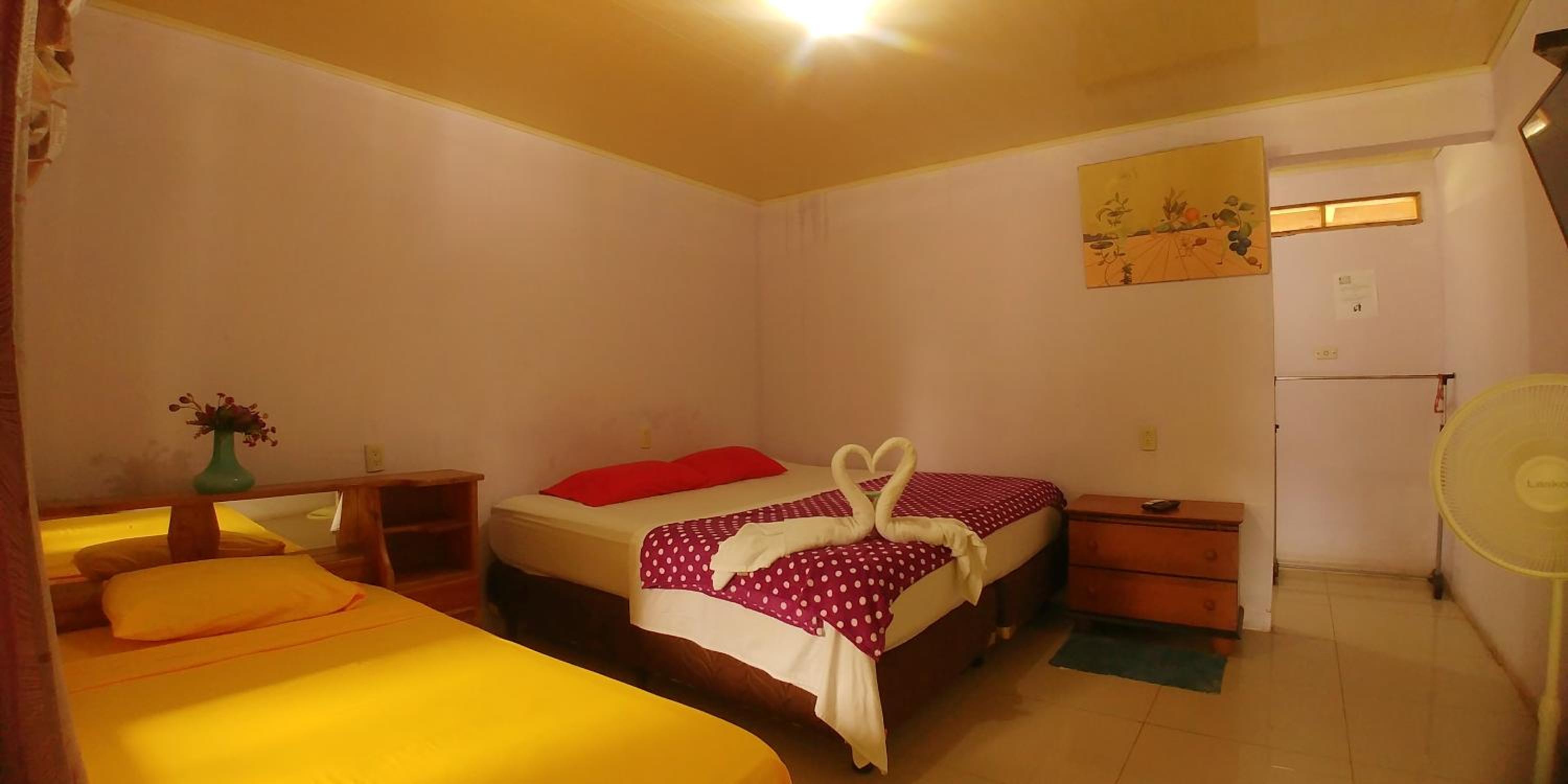 Single Room photo 3