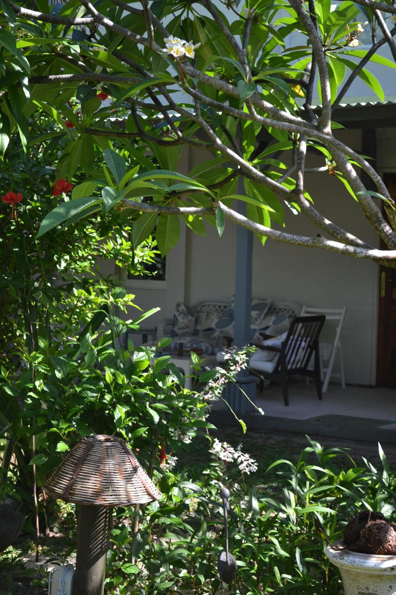 Studio Apartment with Garden View photo 2