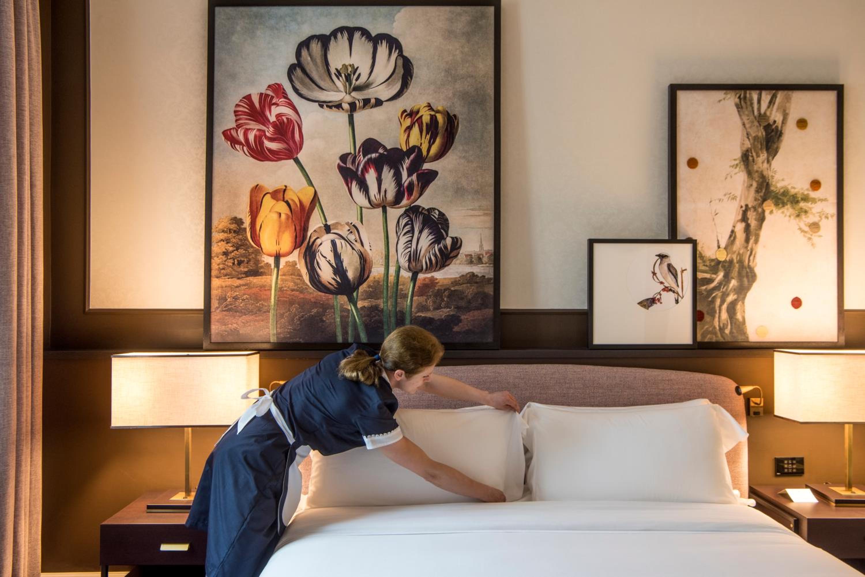 Superior Double or Twin Room photo 2