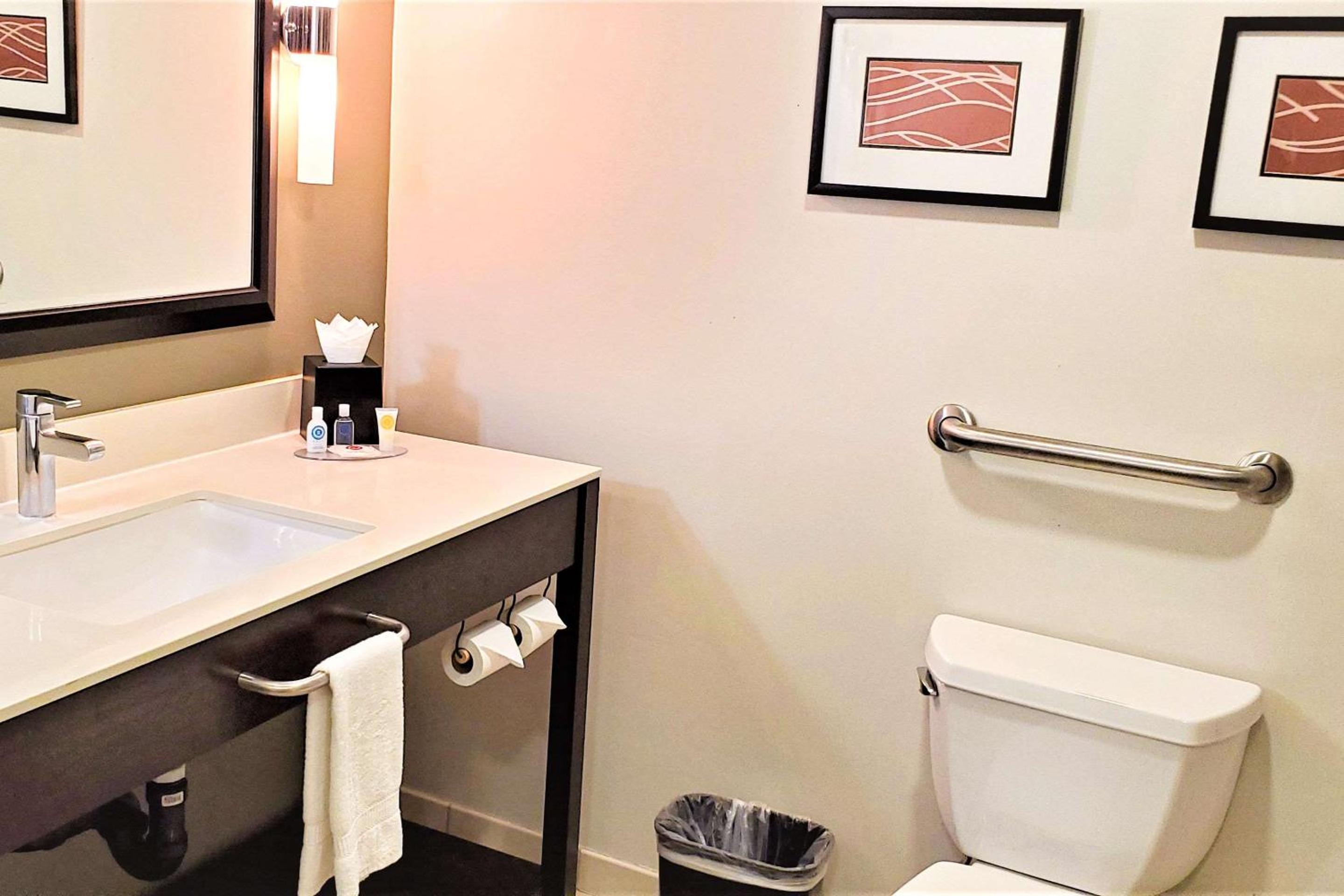 Deluxe Suite King Room