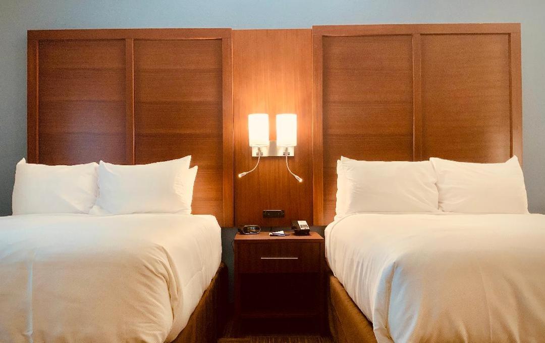 Queen Suite with Two Queen Beds - Non-Smoking - Photo 4