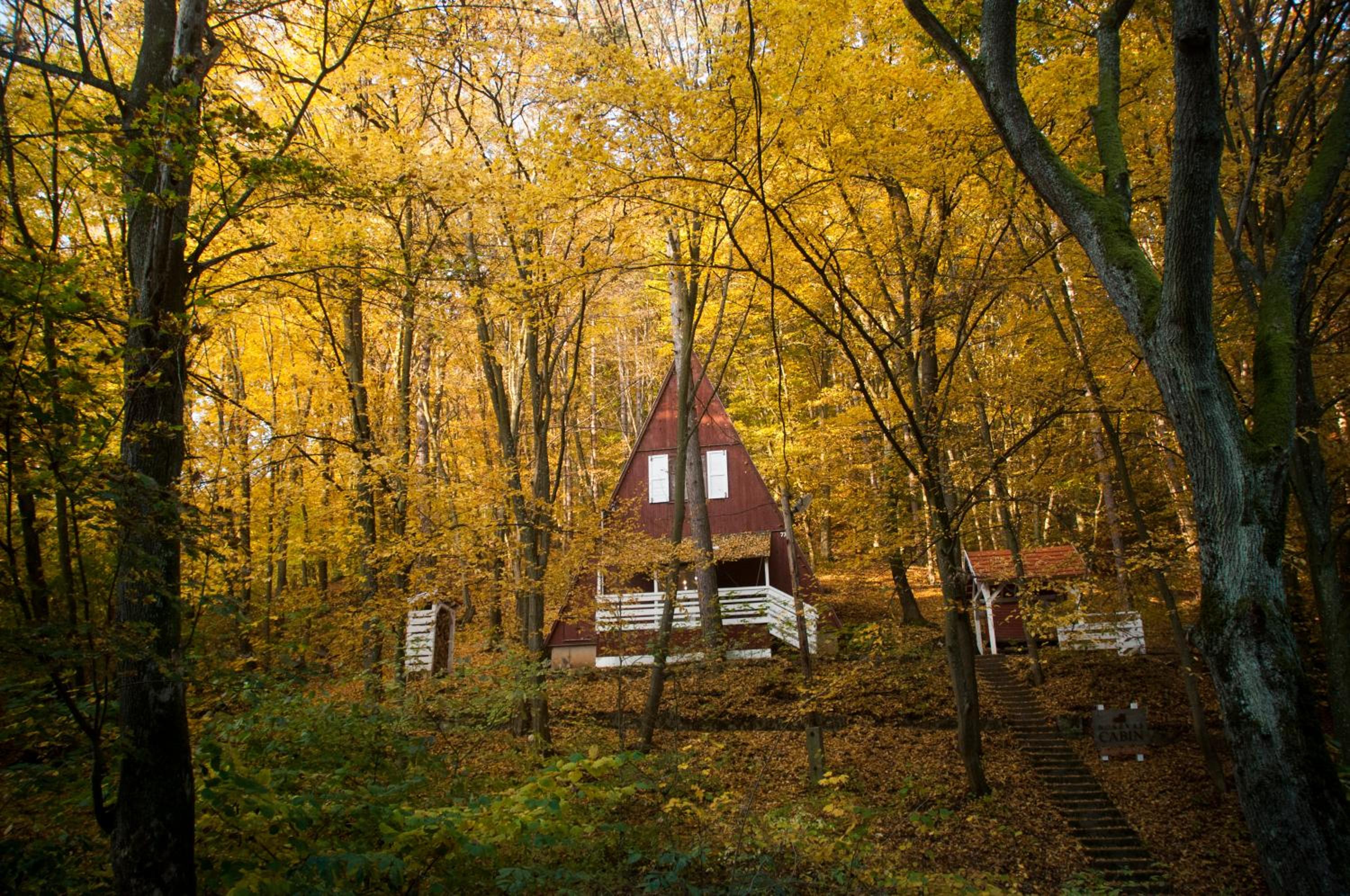 Two-Bedroom Chalet photo 2