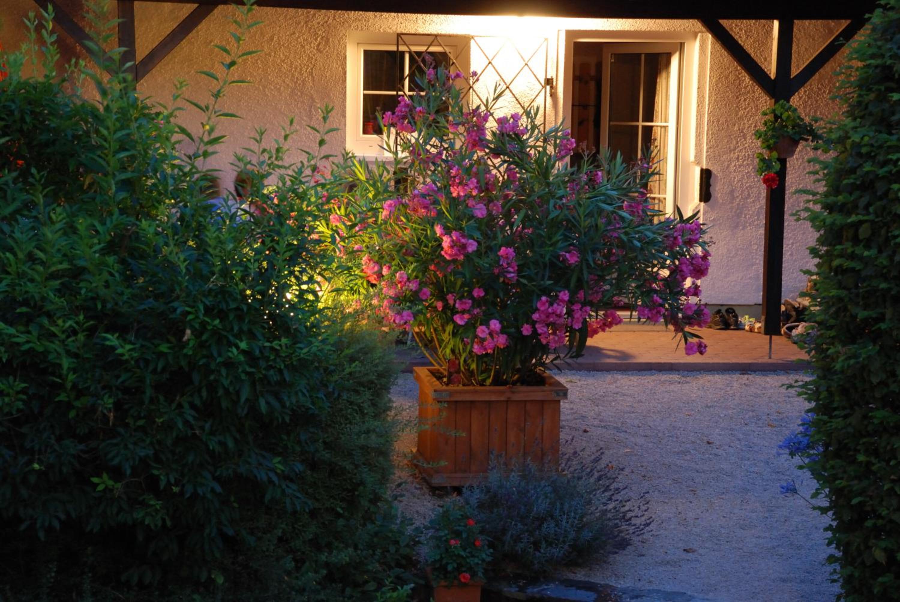Apartment with Garden View photo 2
