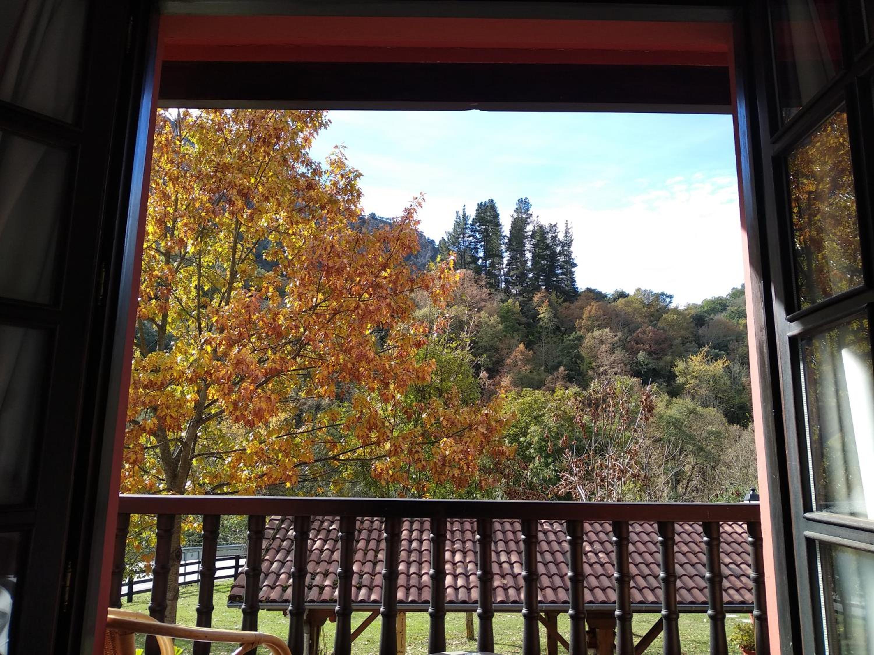 Twin Room with Balcony photo 1