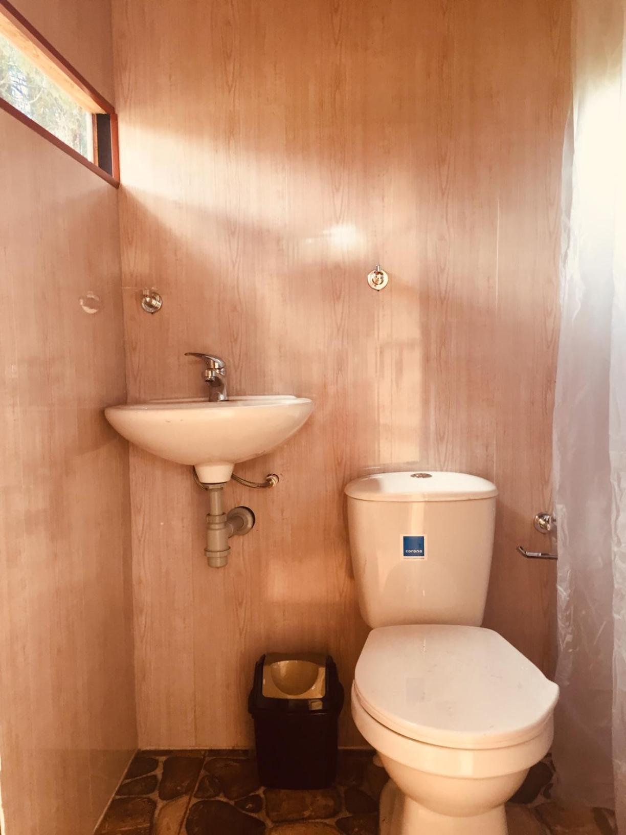 Deluxe Bungalow photo 3