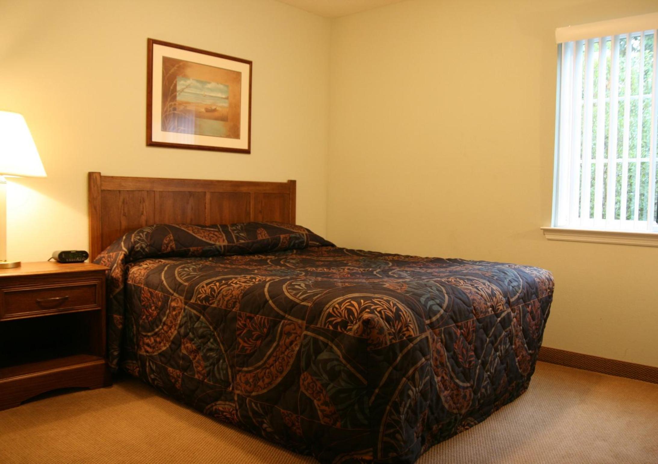 One-Bedroom Suite - Photo 12