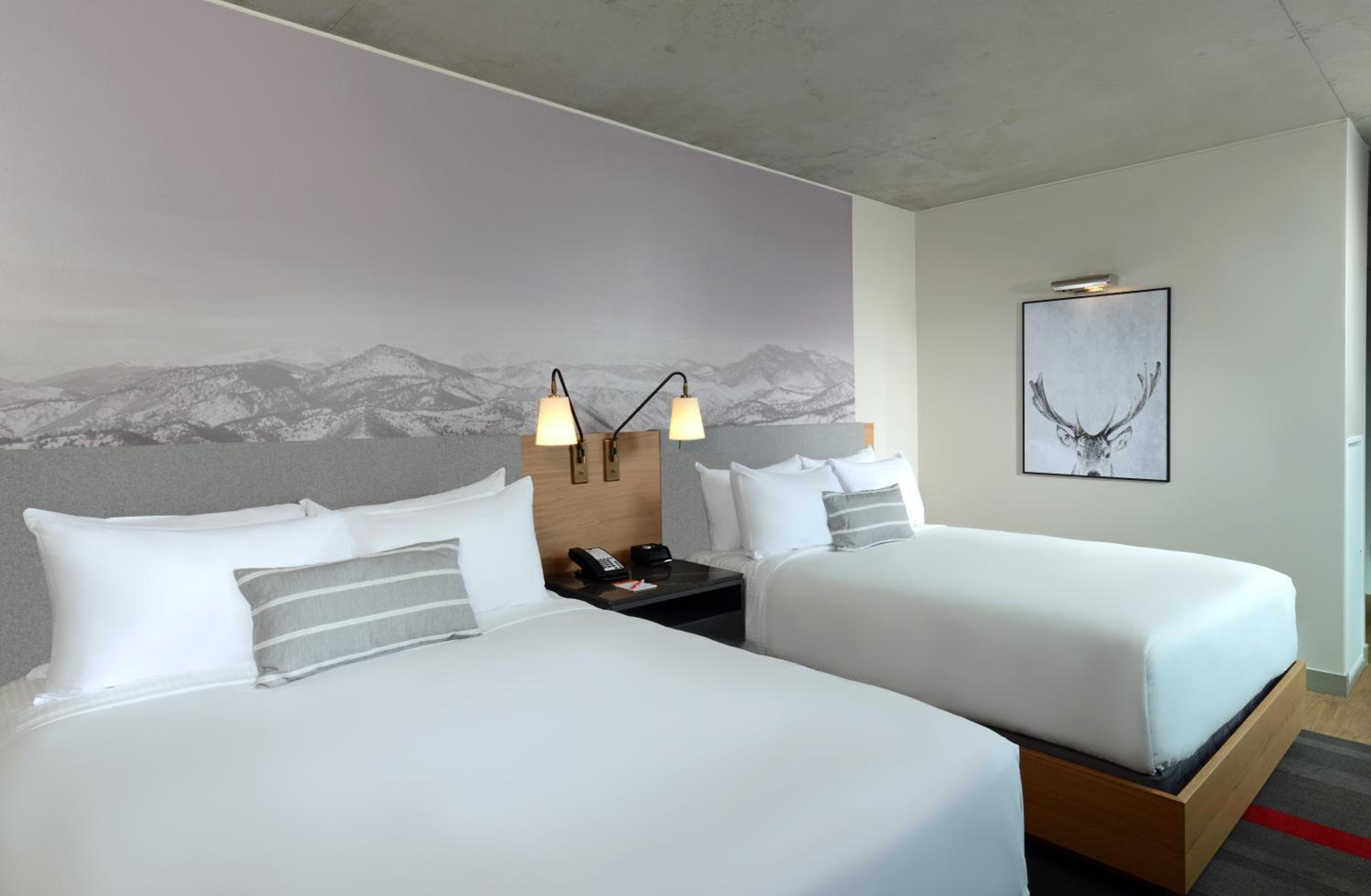 Queen Room with Urban View - Mobility and Communications Accessible thumbnail 5