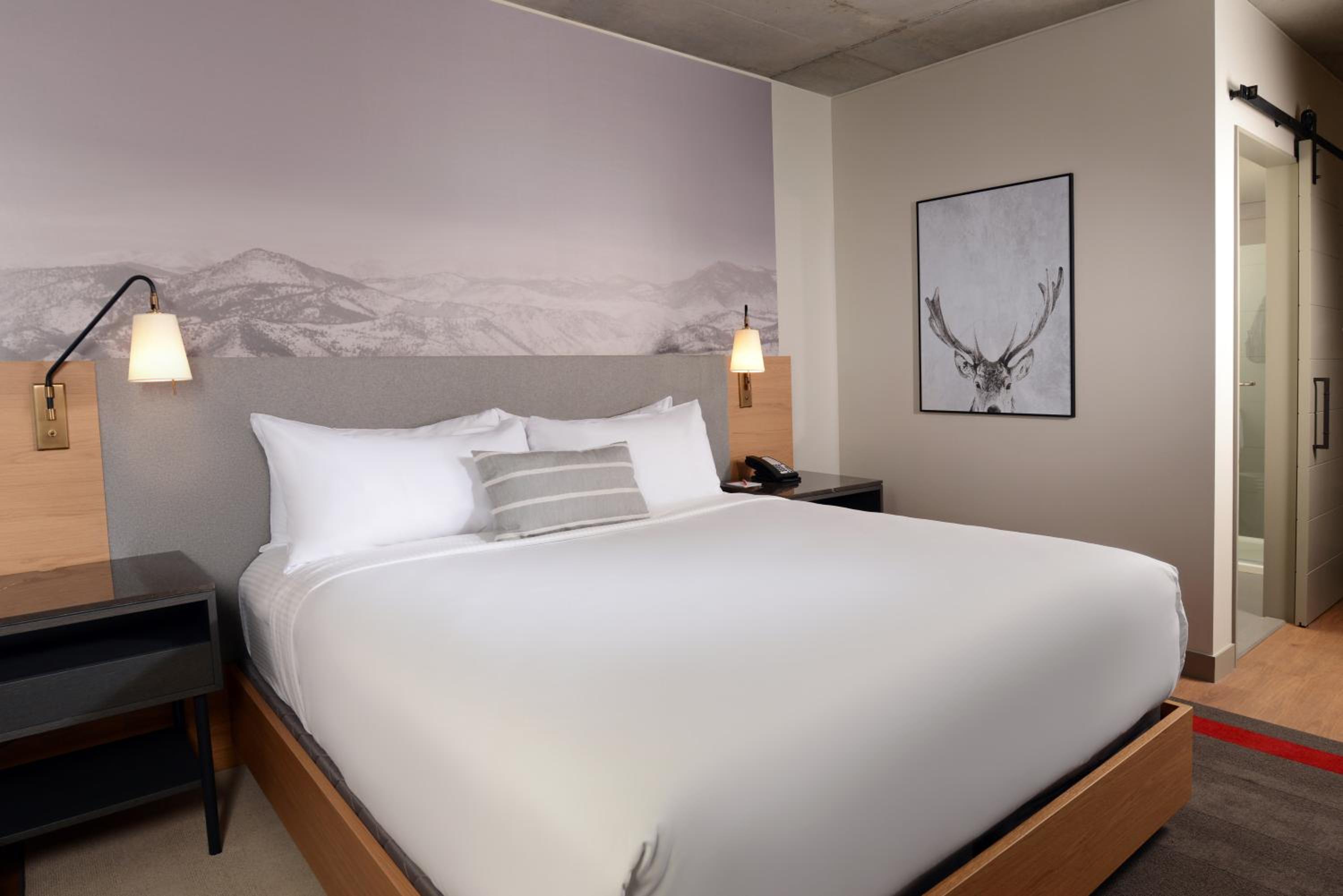 One King Standard Urban View Room