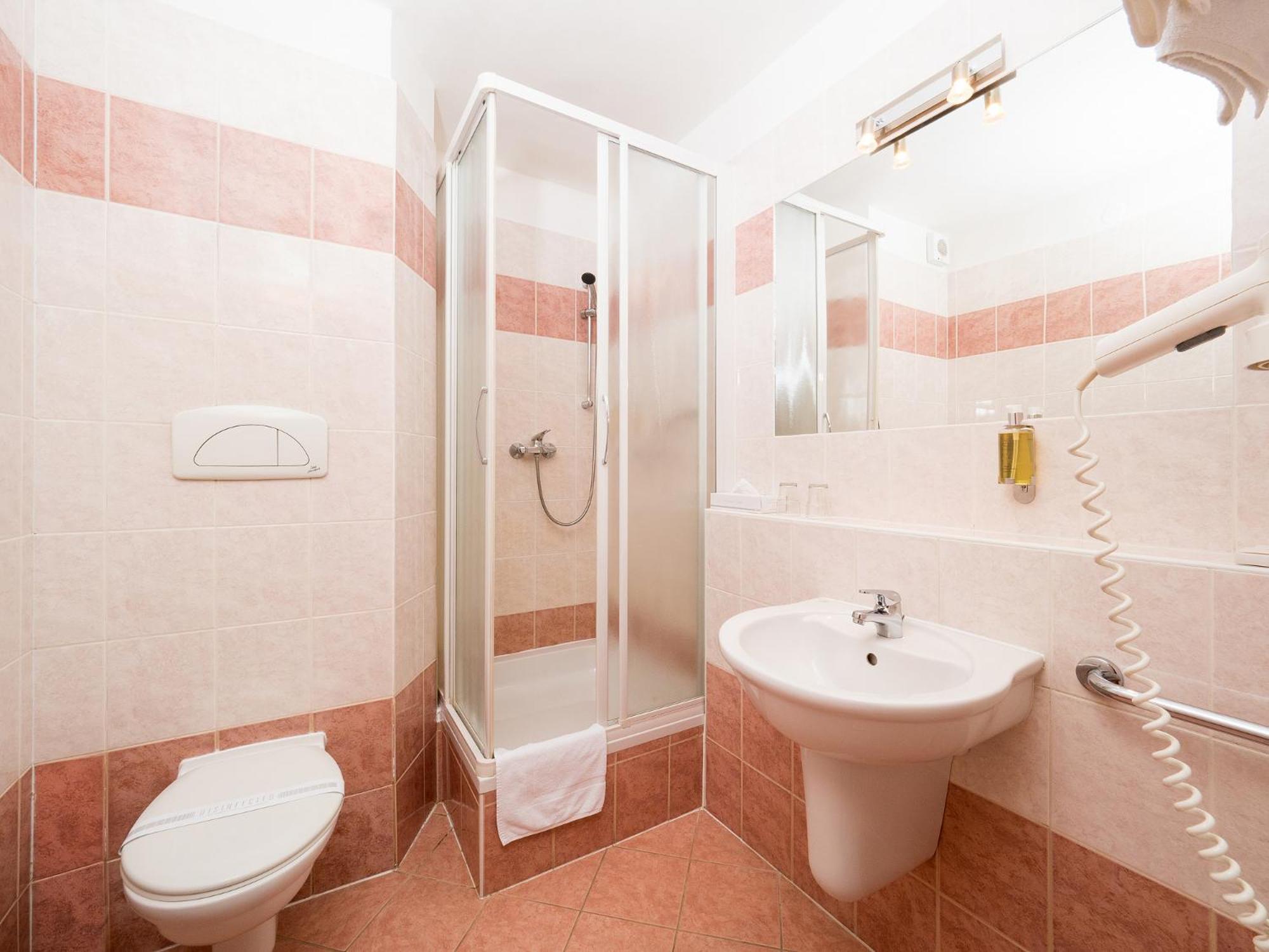 Superior Single Room photo 3