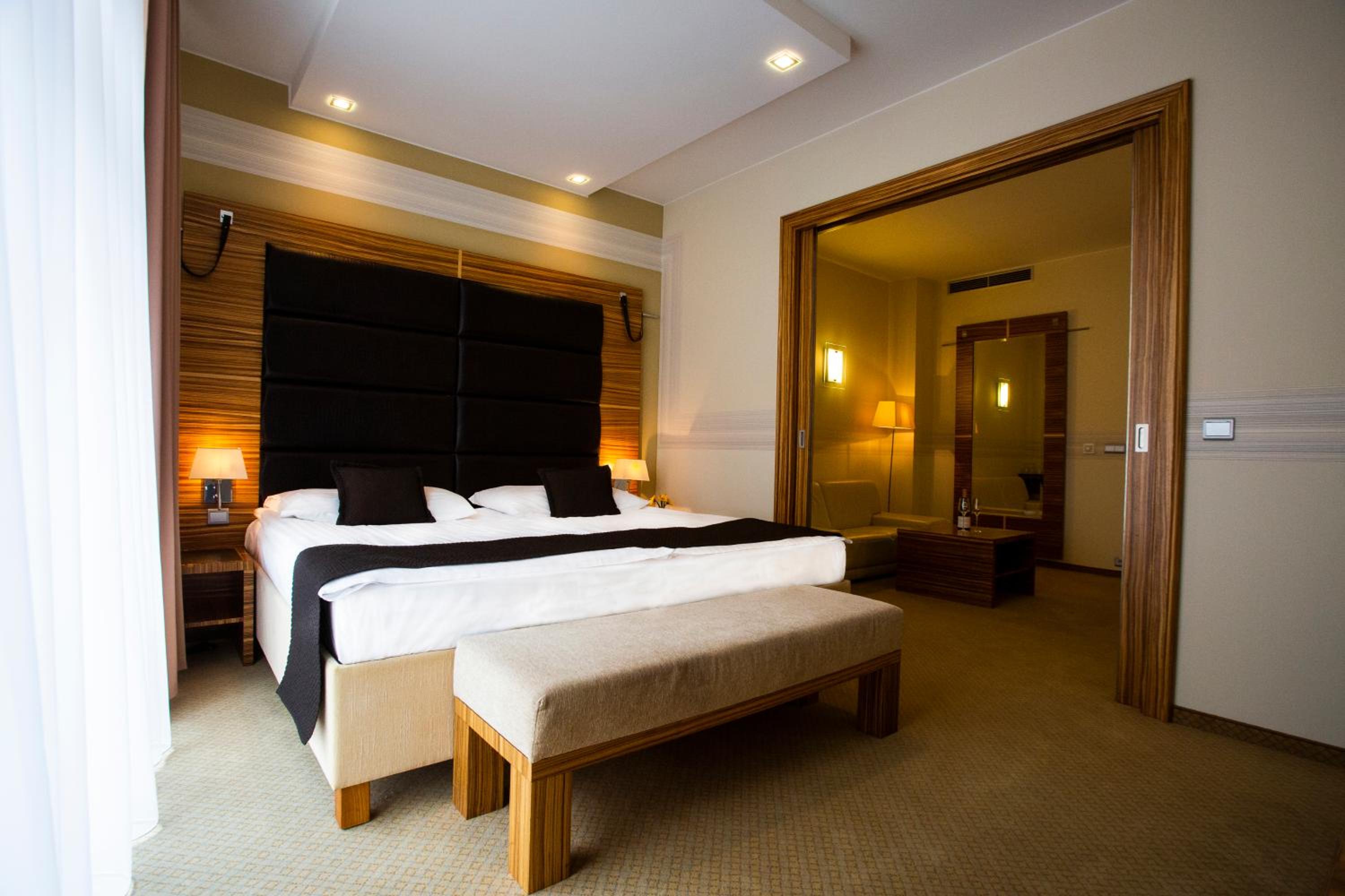 Suite - Photo 1