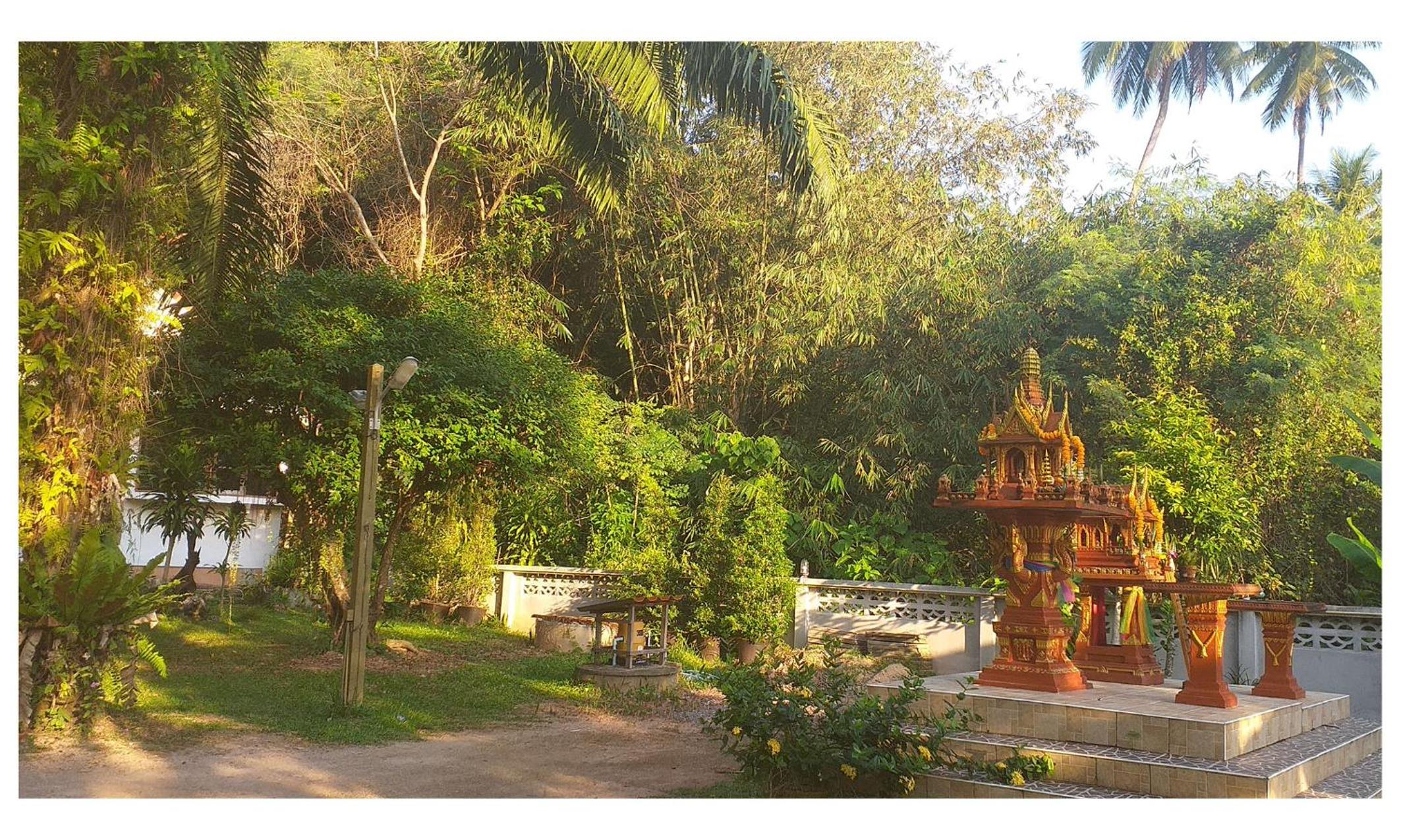 Double Room with Garden View photo 3