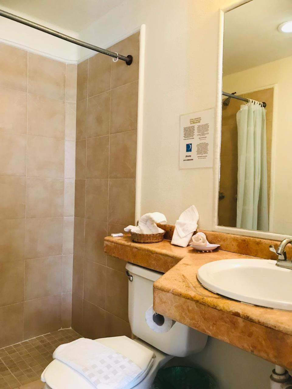 Large Single Room photo 3
