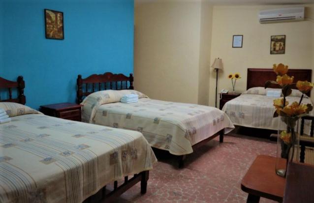 Triple Room photo 2