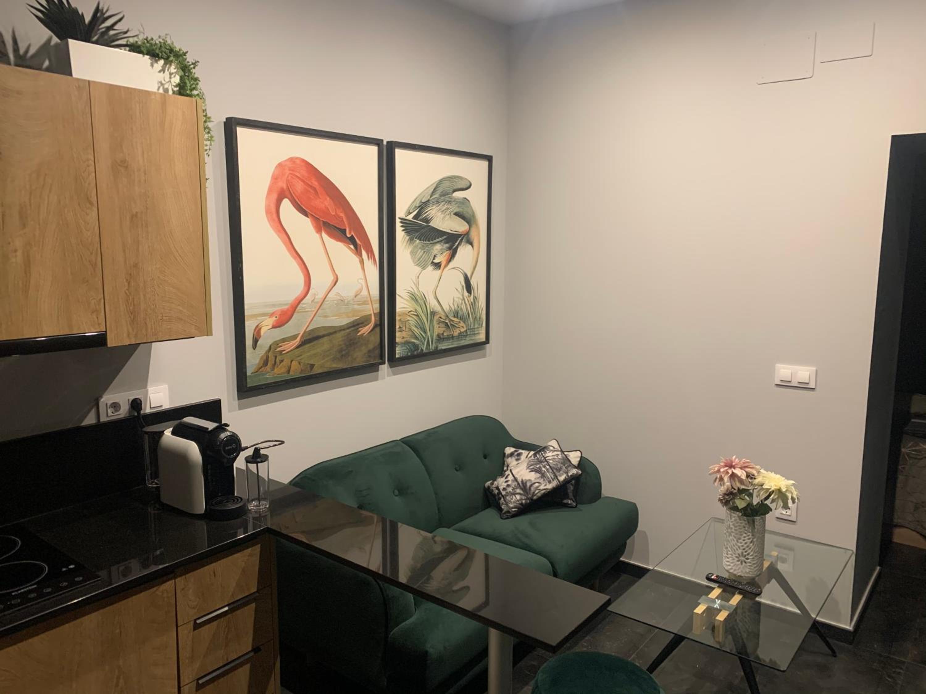 Superior Apartment - Photo 3