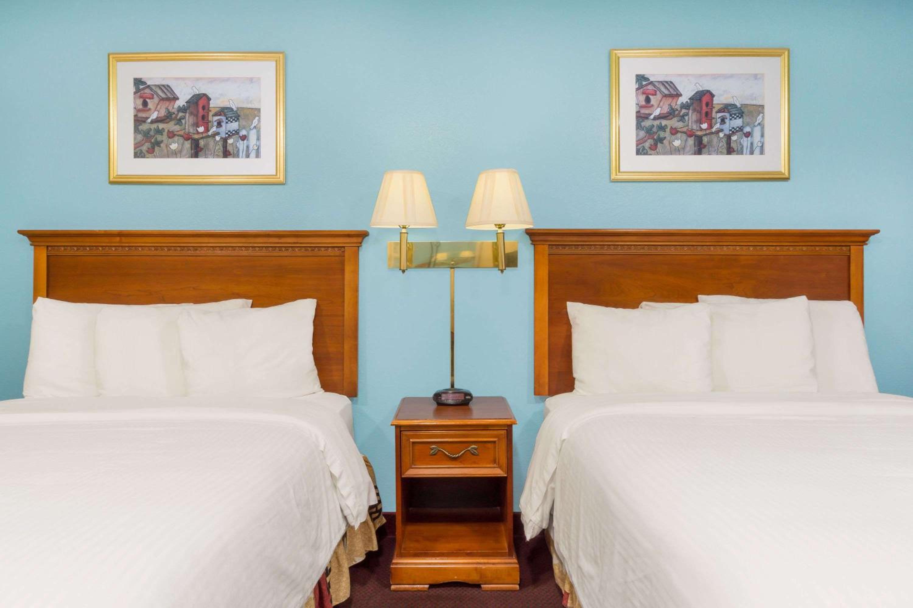 Two Double Bed Room - Non-Smoking - Photo 2