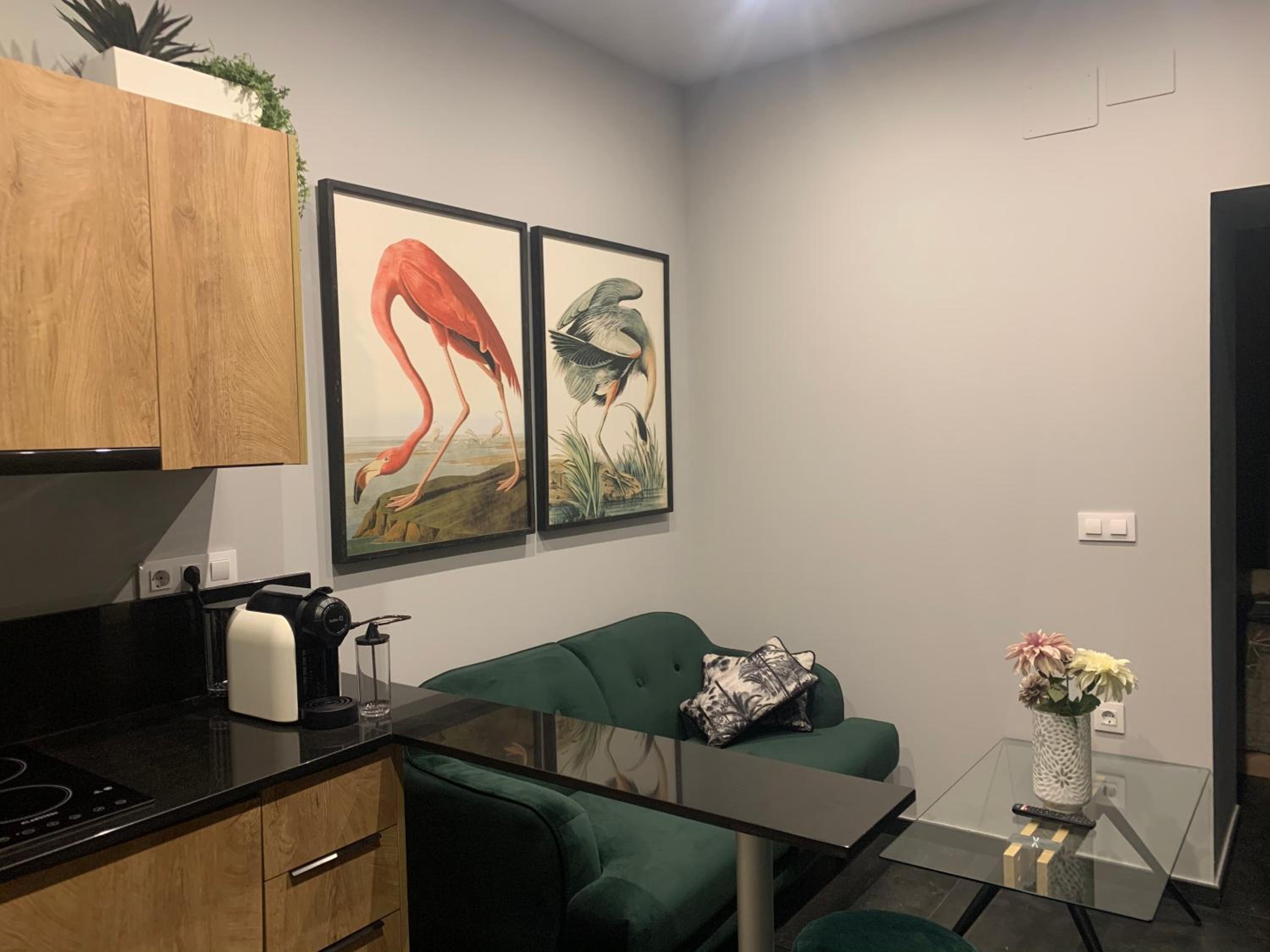 Superior Apartment - Photo 11