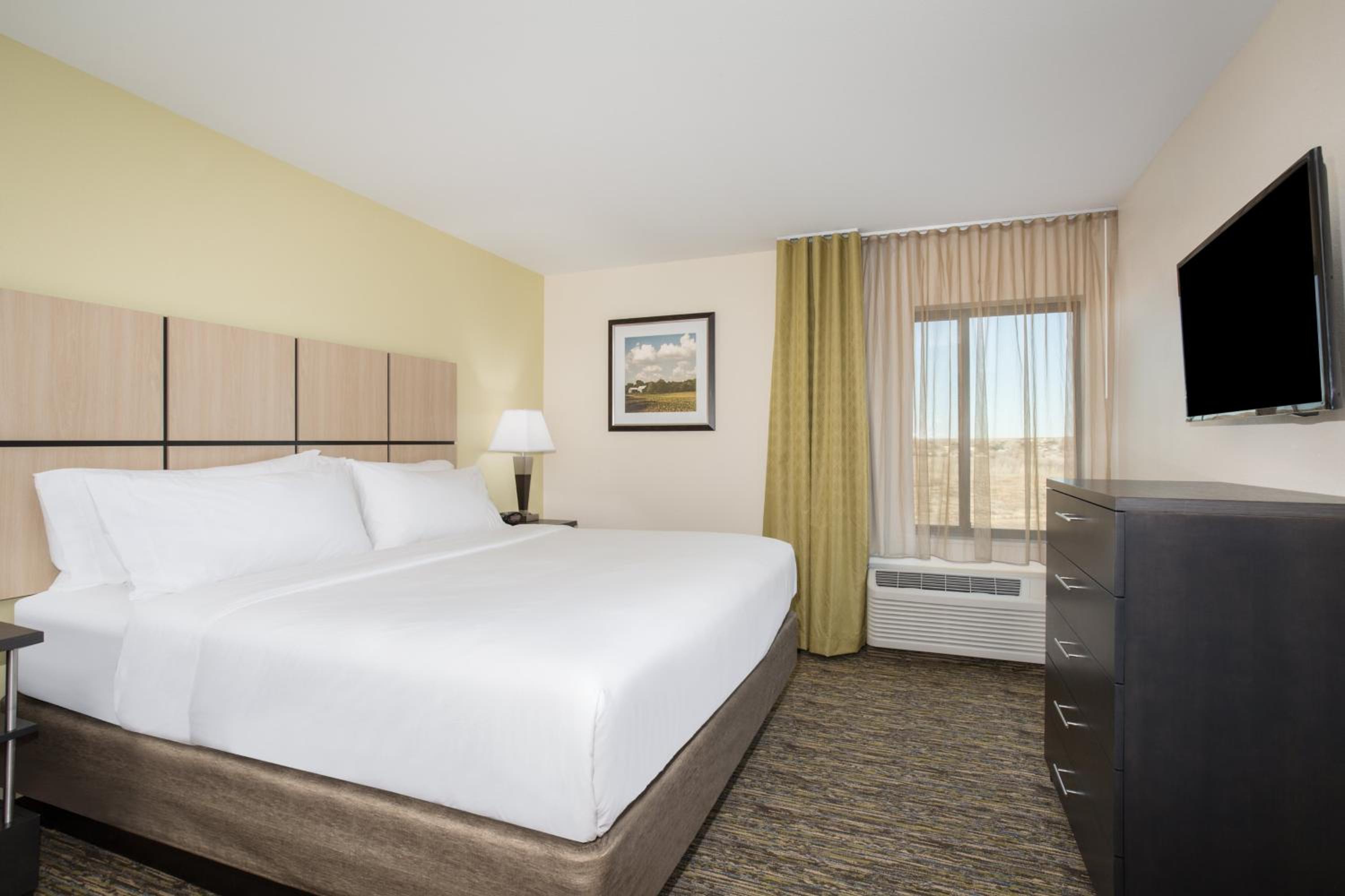 One-Bedroom King Suite photo 3