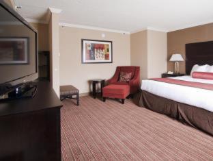 One-Bedroom Executive King Suite - Non-Smoking - Photo 8