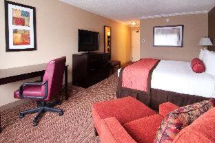 Deluxe King Room - Non-Smoking - Photo 9